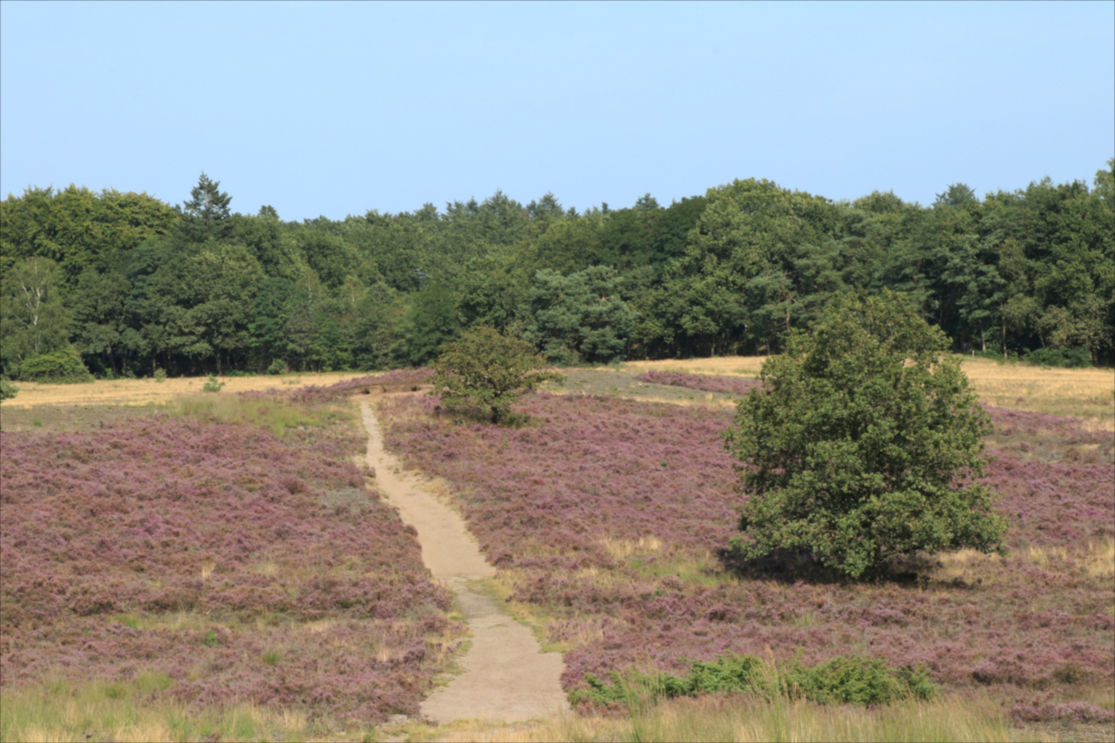 Natuurhuisje in Otterlo