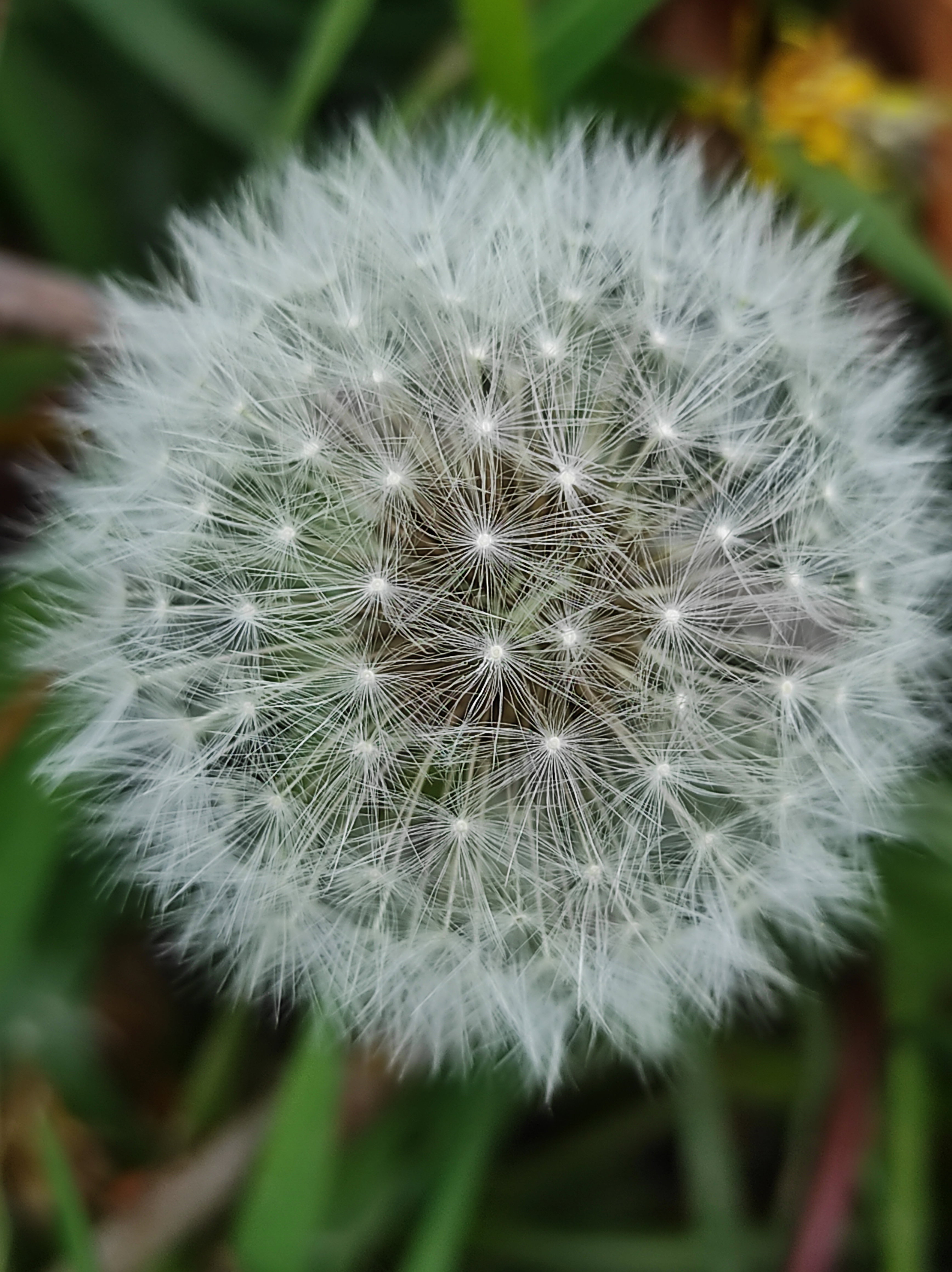 - image: 28