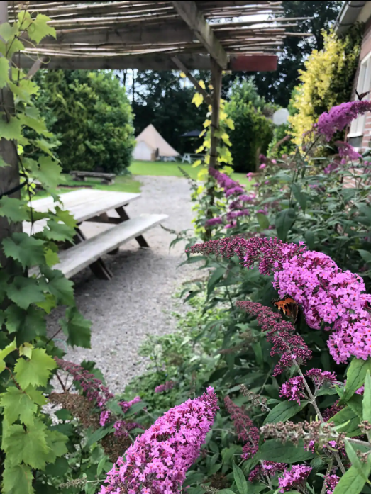 Maison nature à Rutten