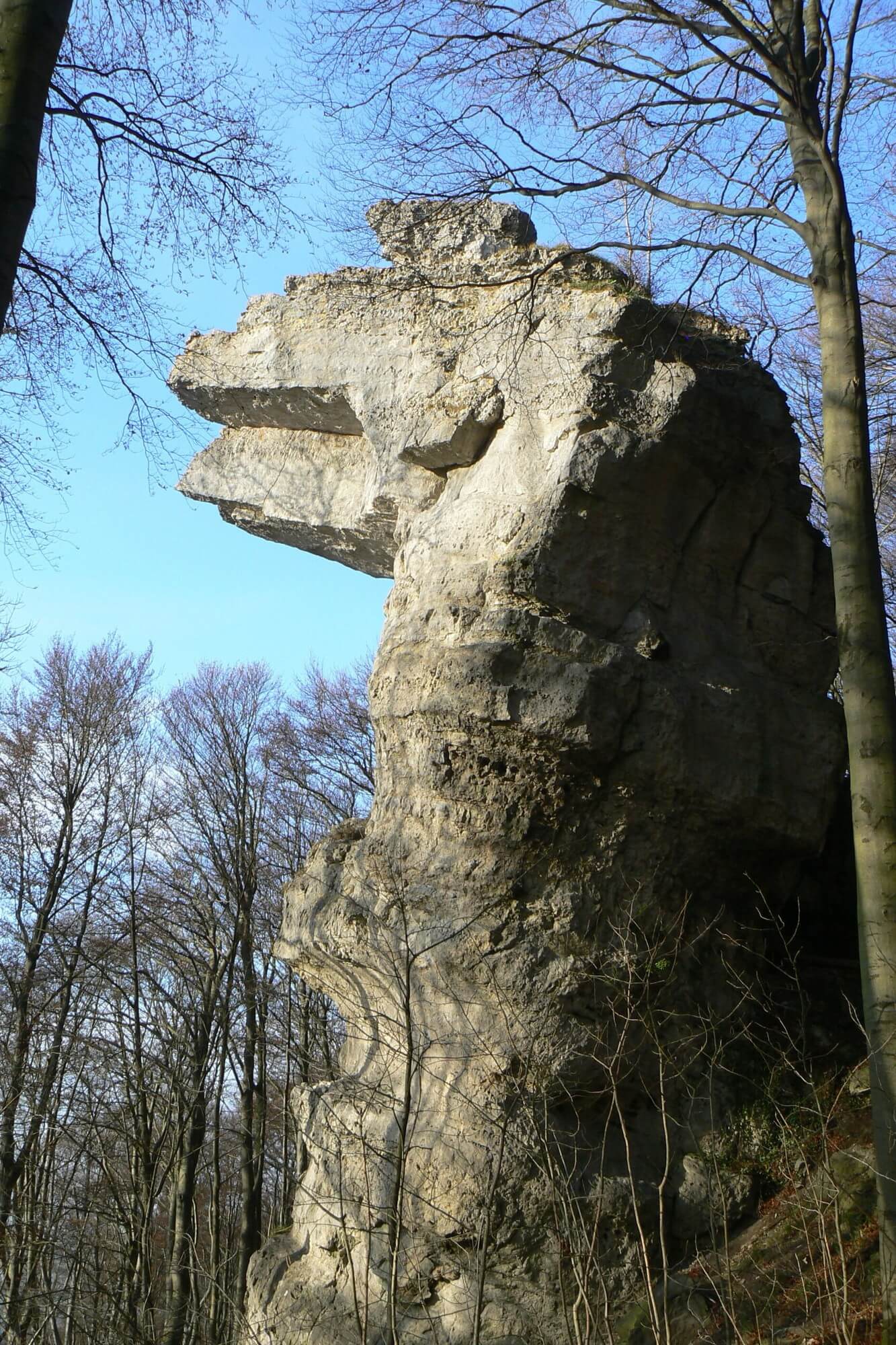 - image: 49