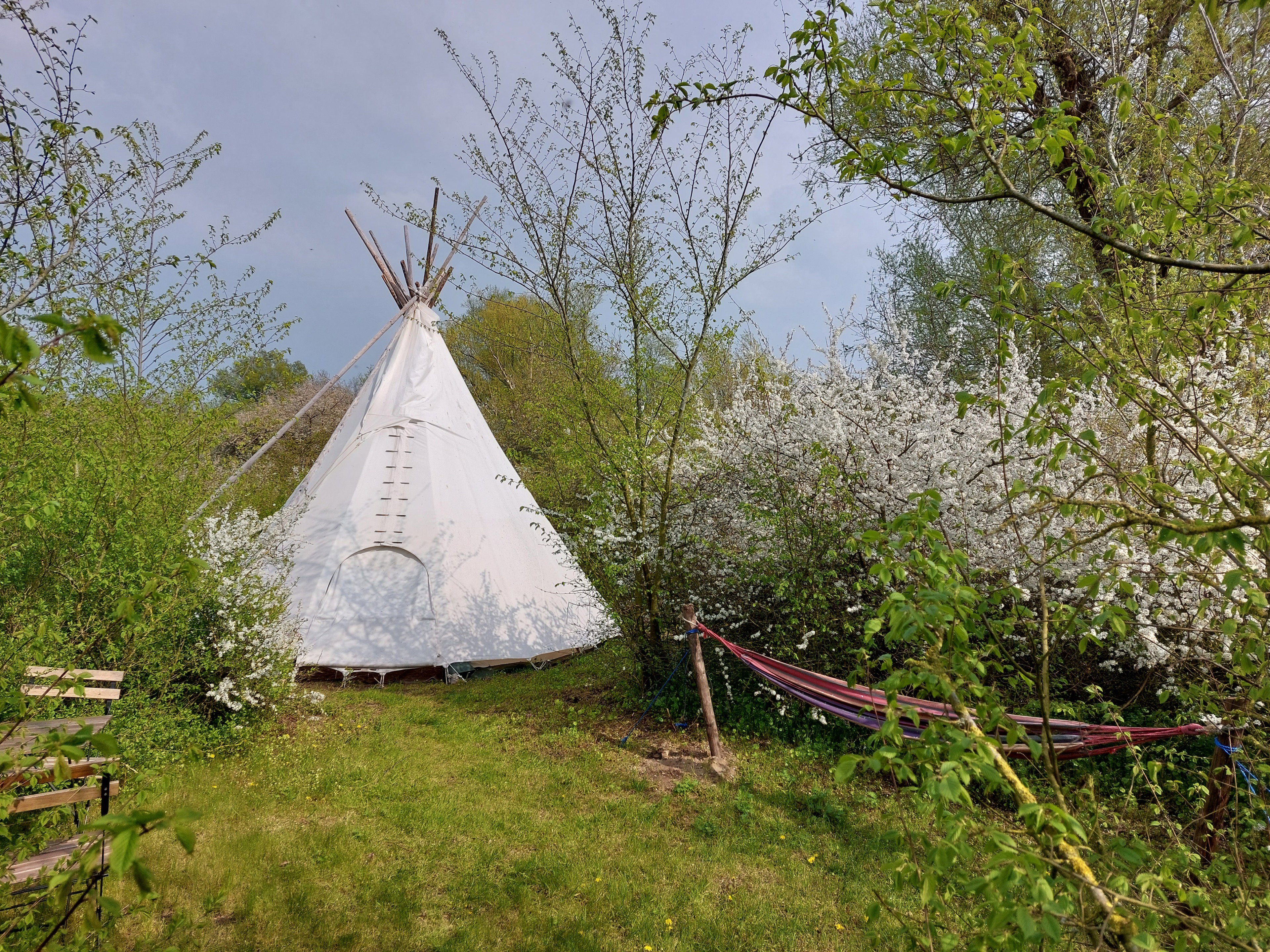 Maison nature à Biddinghuizen