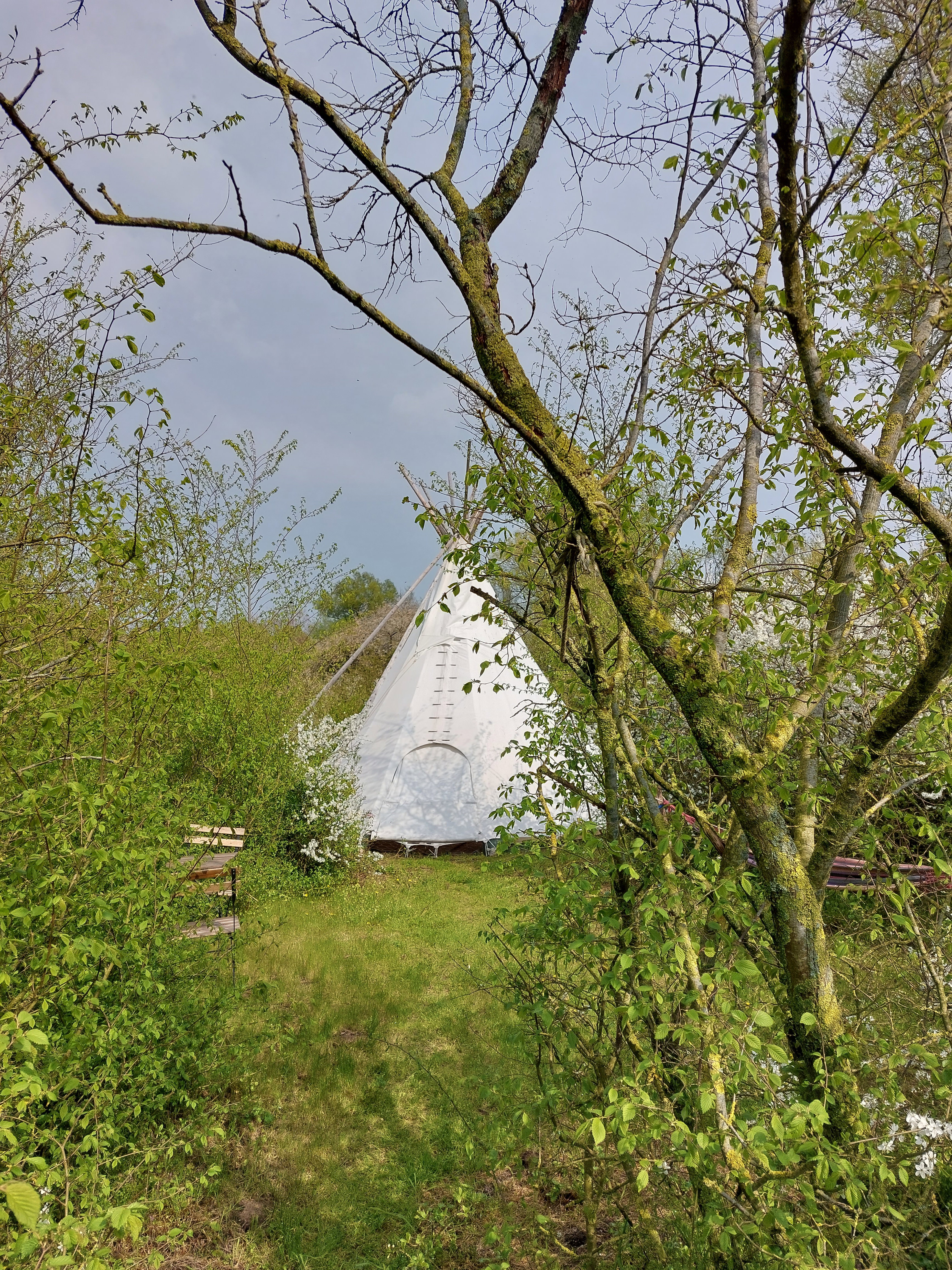 Maison nature à Biddinghuizen