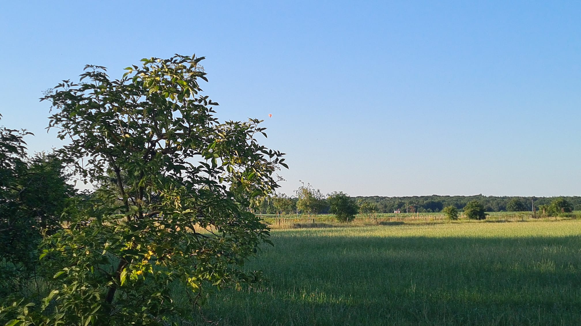 Natuurhuisje in Ede