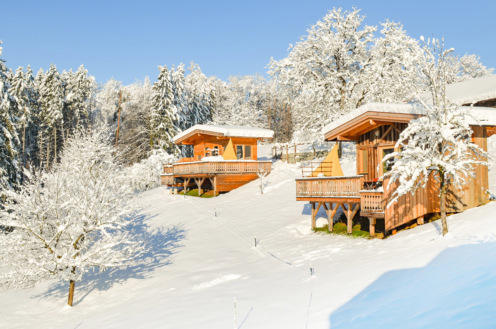 Maison nature à Taubenbach