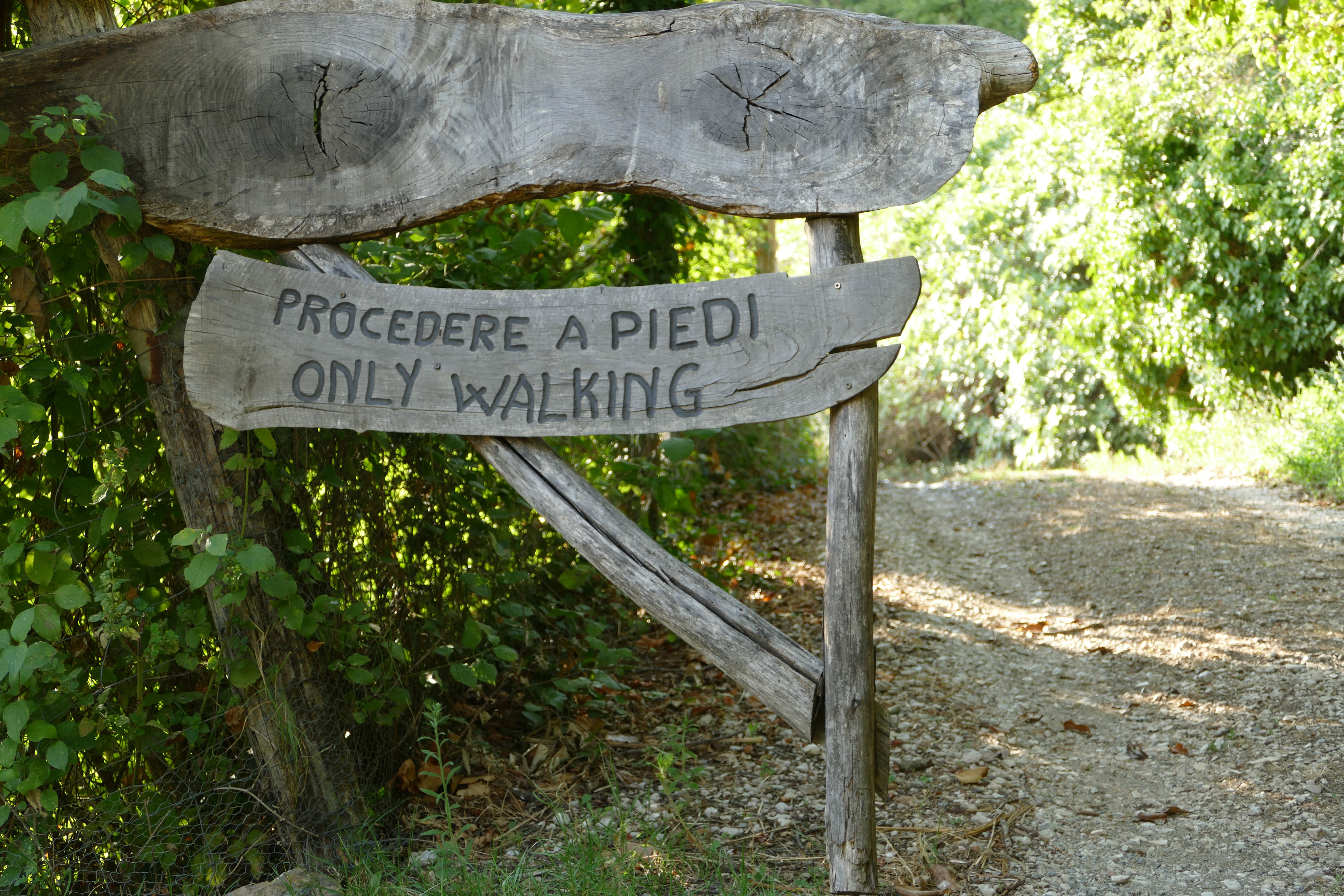 - image: 12