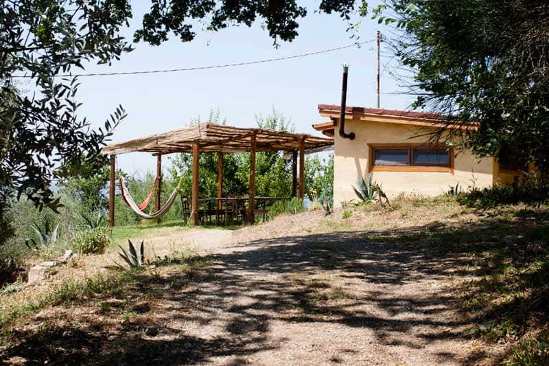 - image: 11