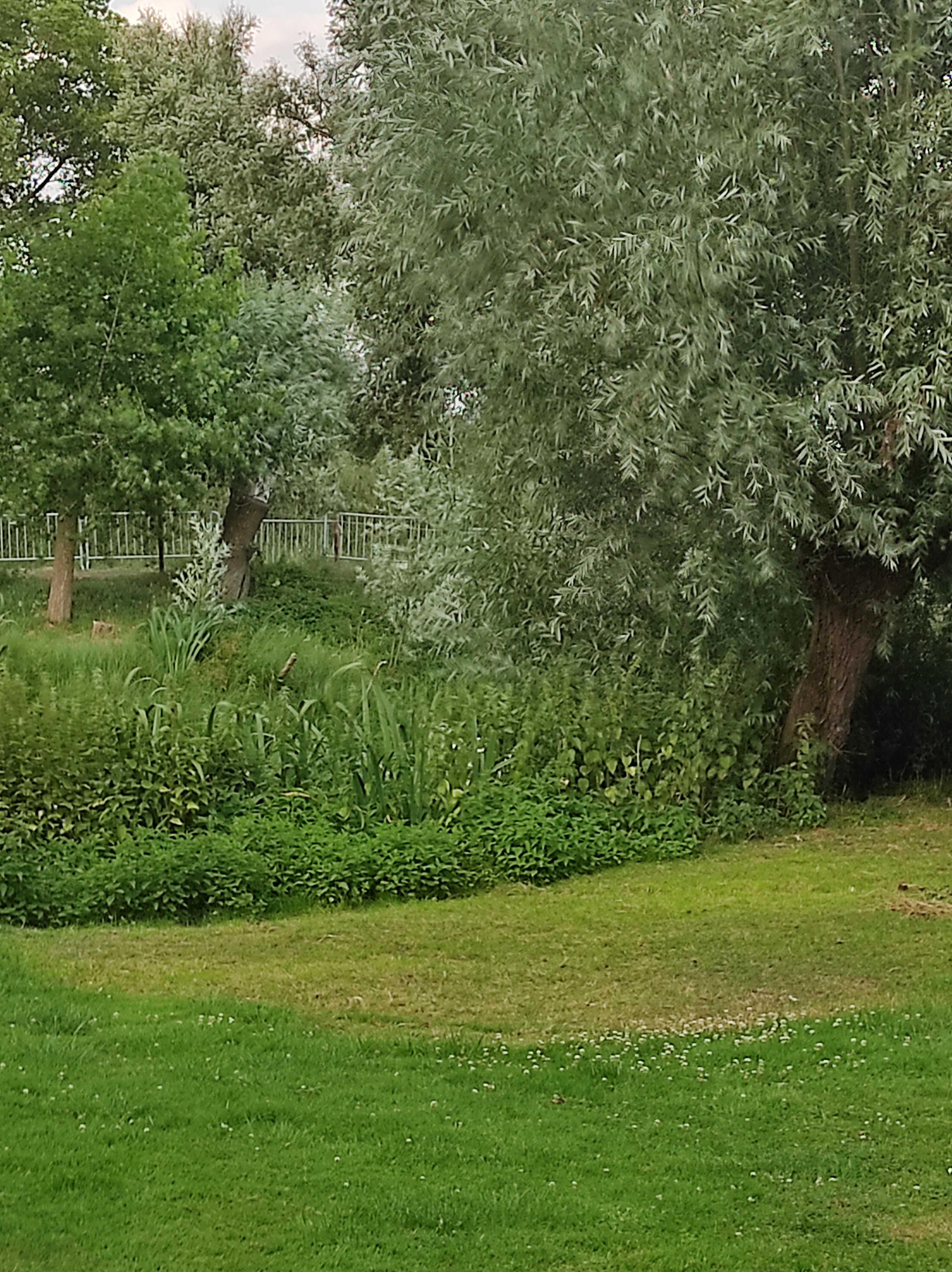 Casa nella natura a Hoek