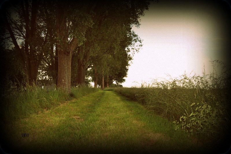 - image: 15