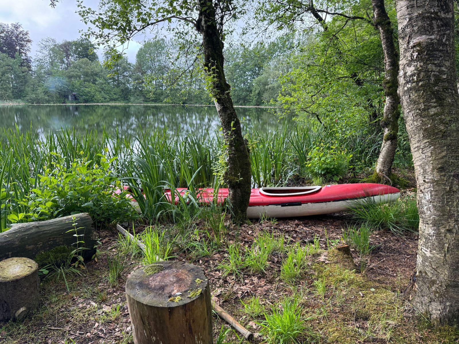 Naturhäuschen in Papenvoort