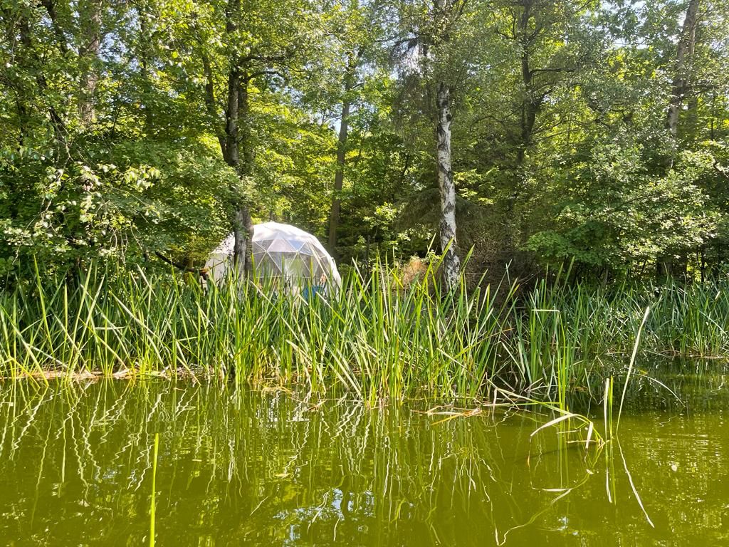Naturhäuschen in Papenvoort