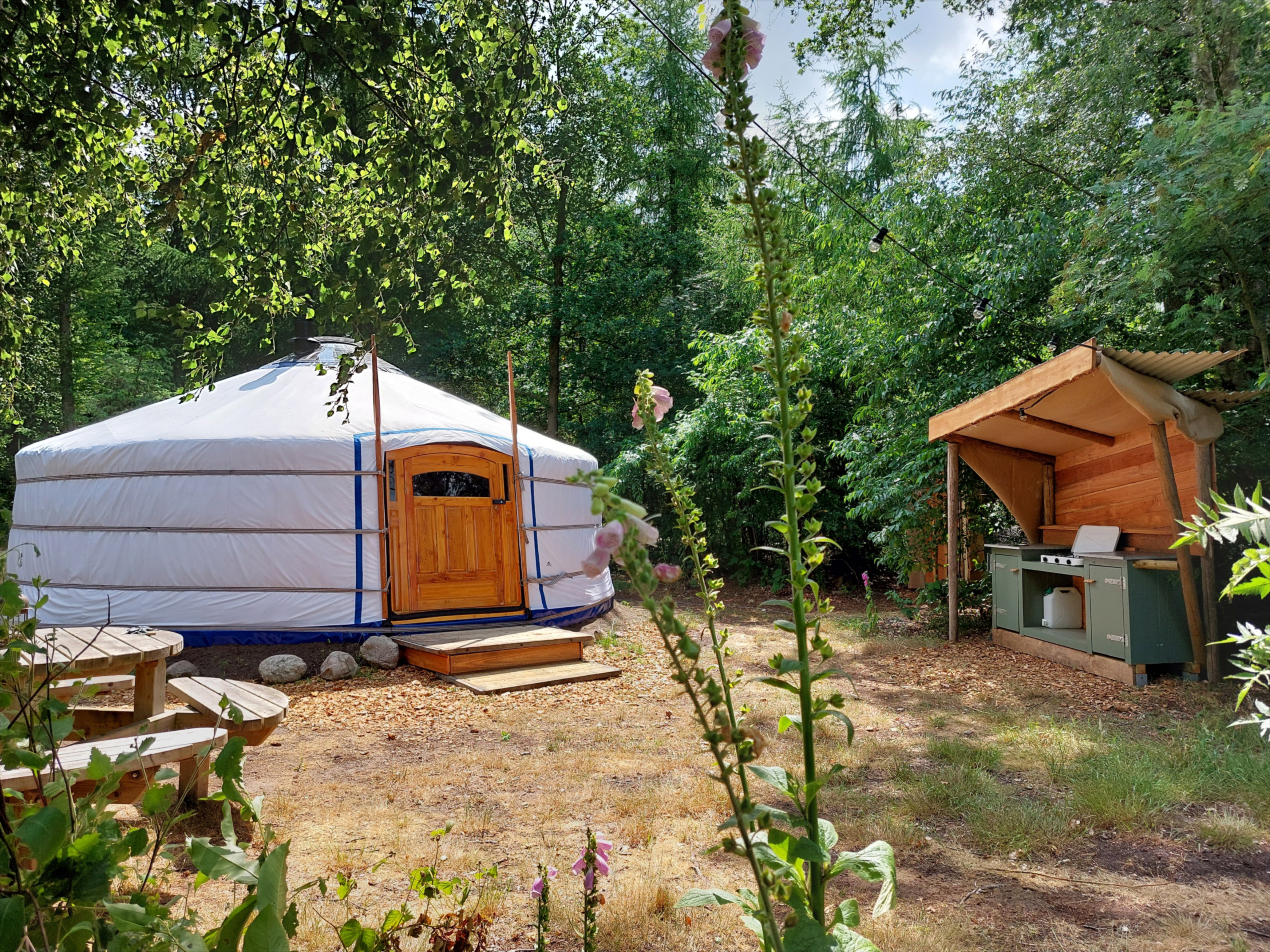 Natuurhuisje in Papenvoort