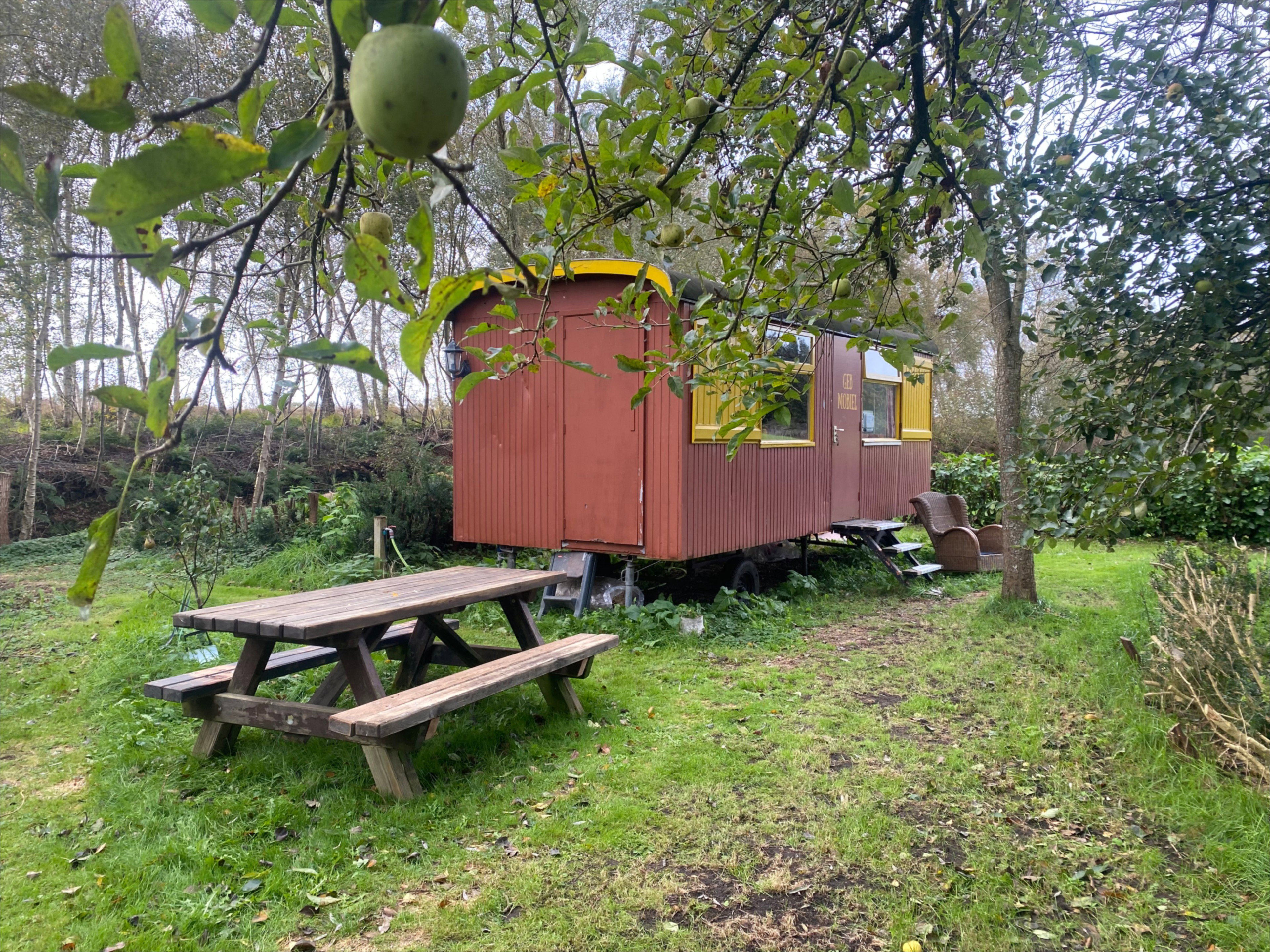 Maison nature à Dalerpeel