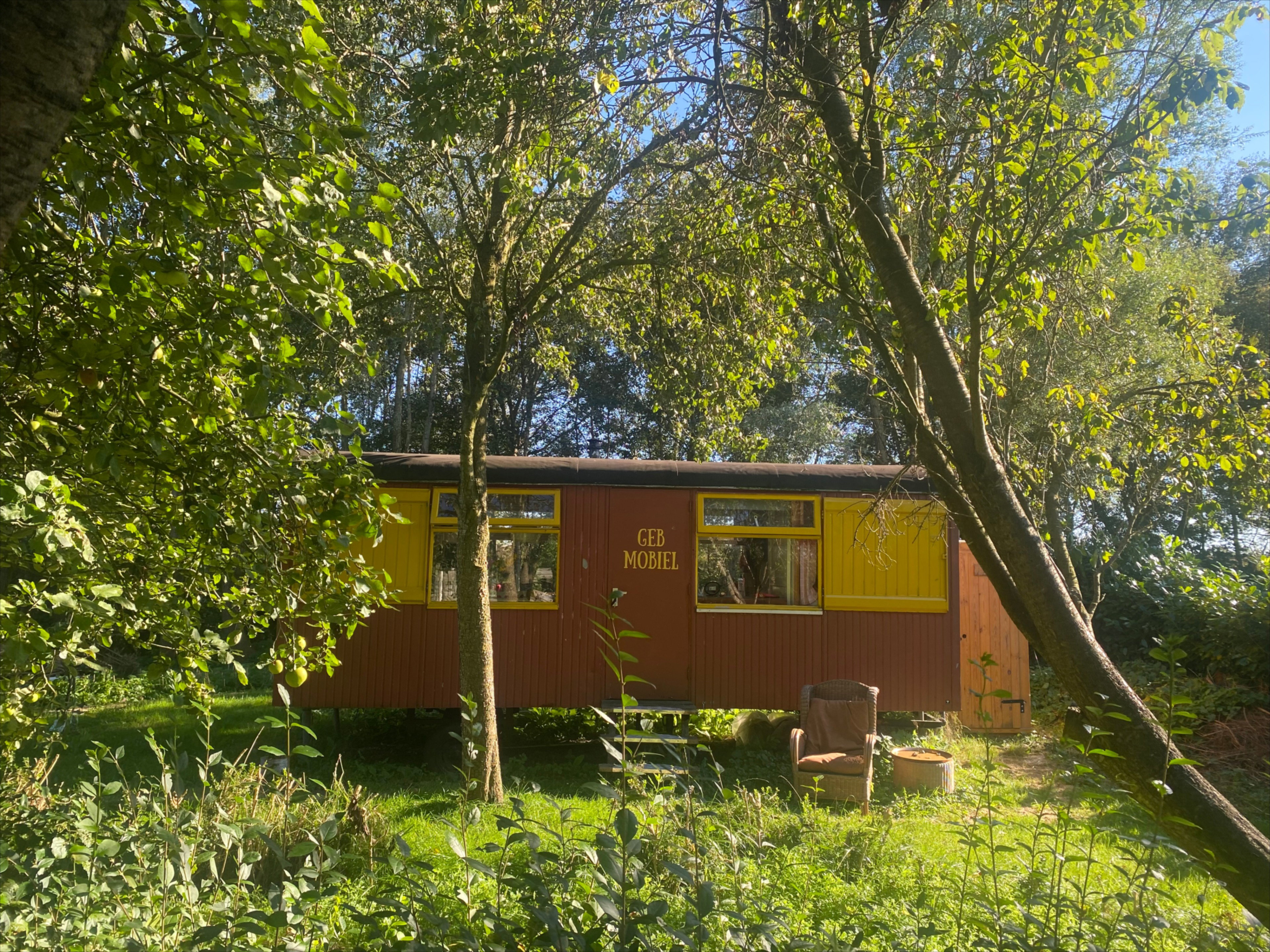 Natuurhuisje in Dalerpeel