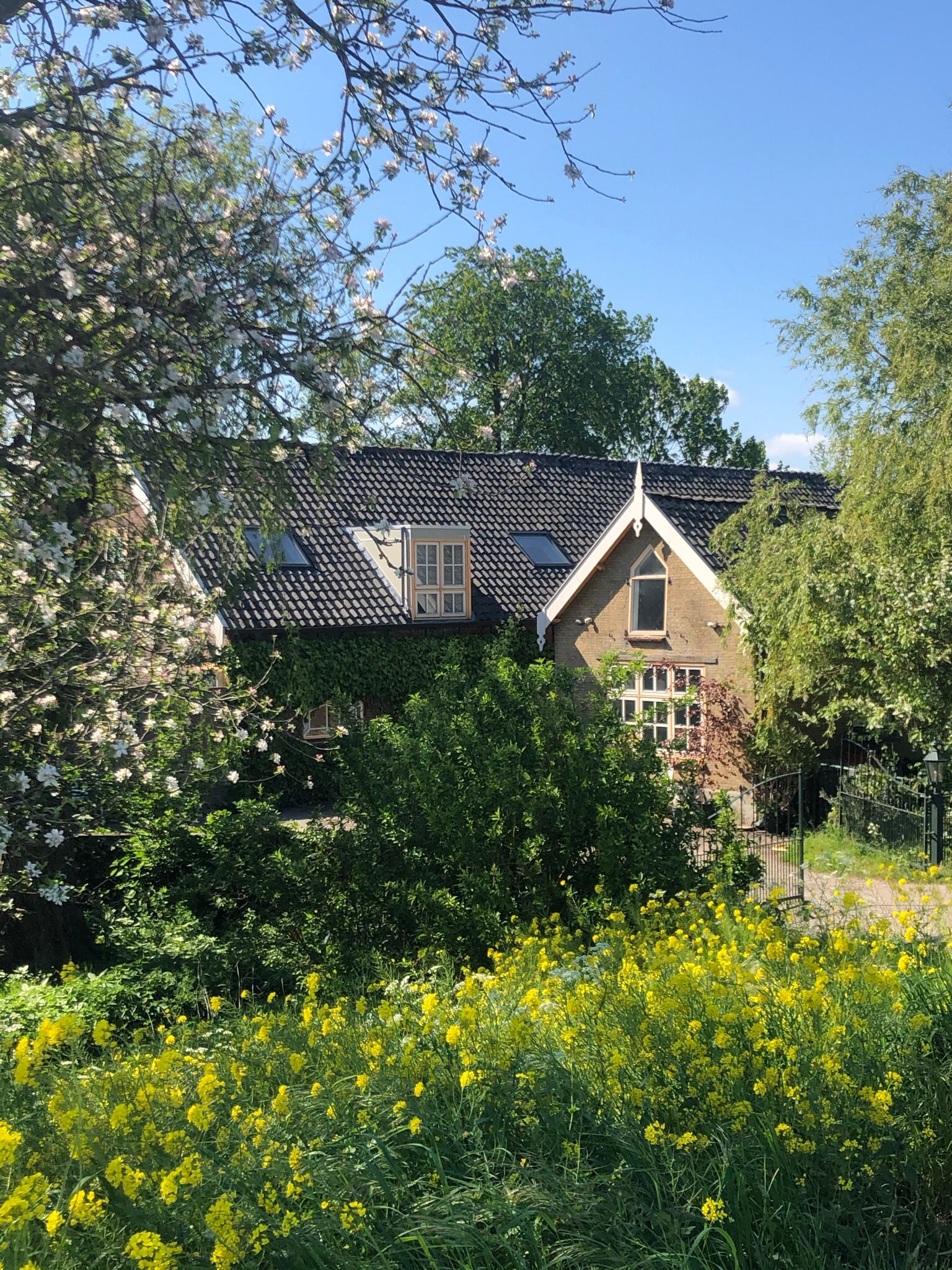 Natuurhuisje in Bodegraven