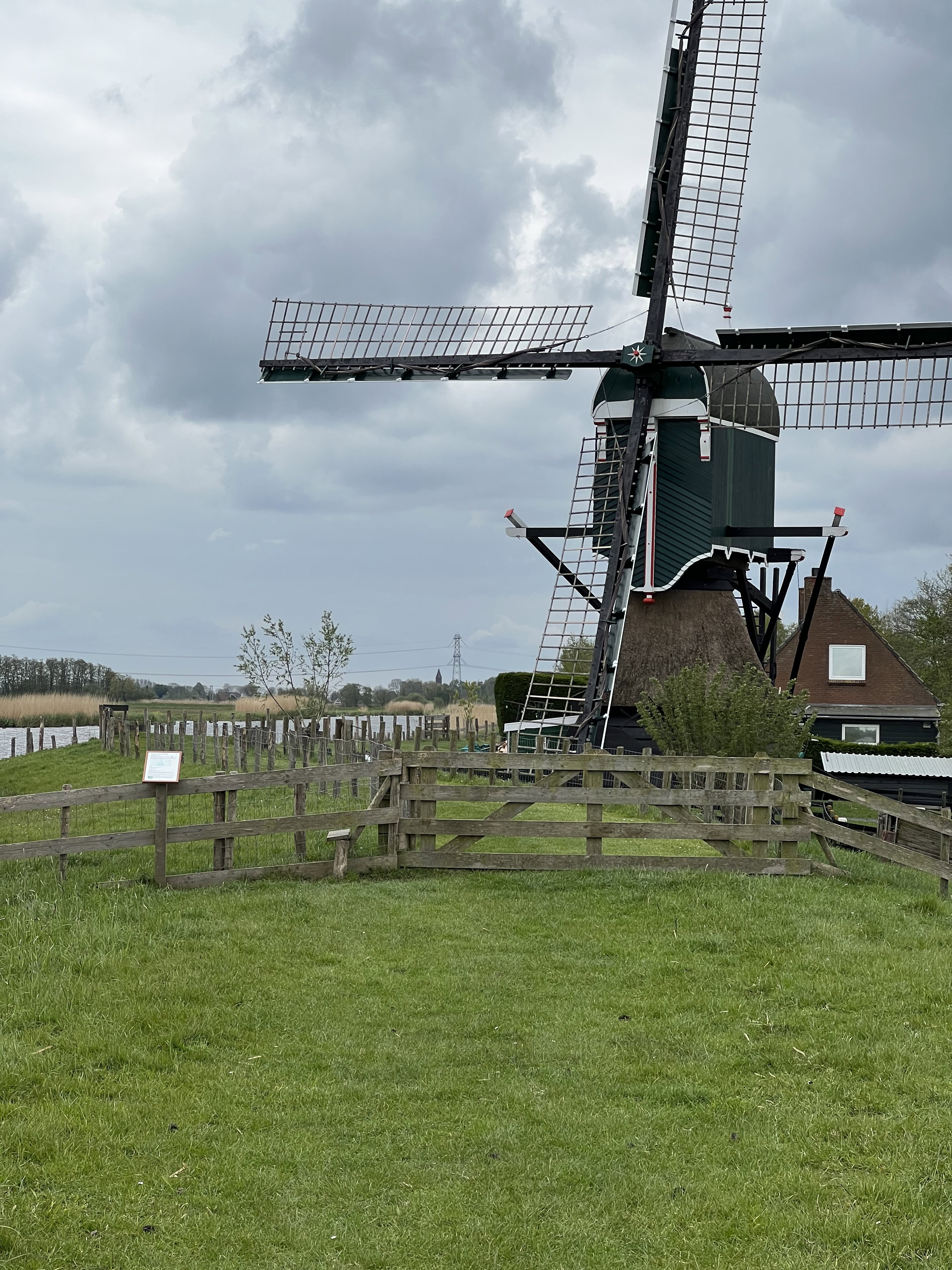 - image: 14