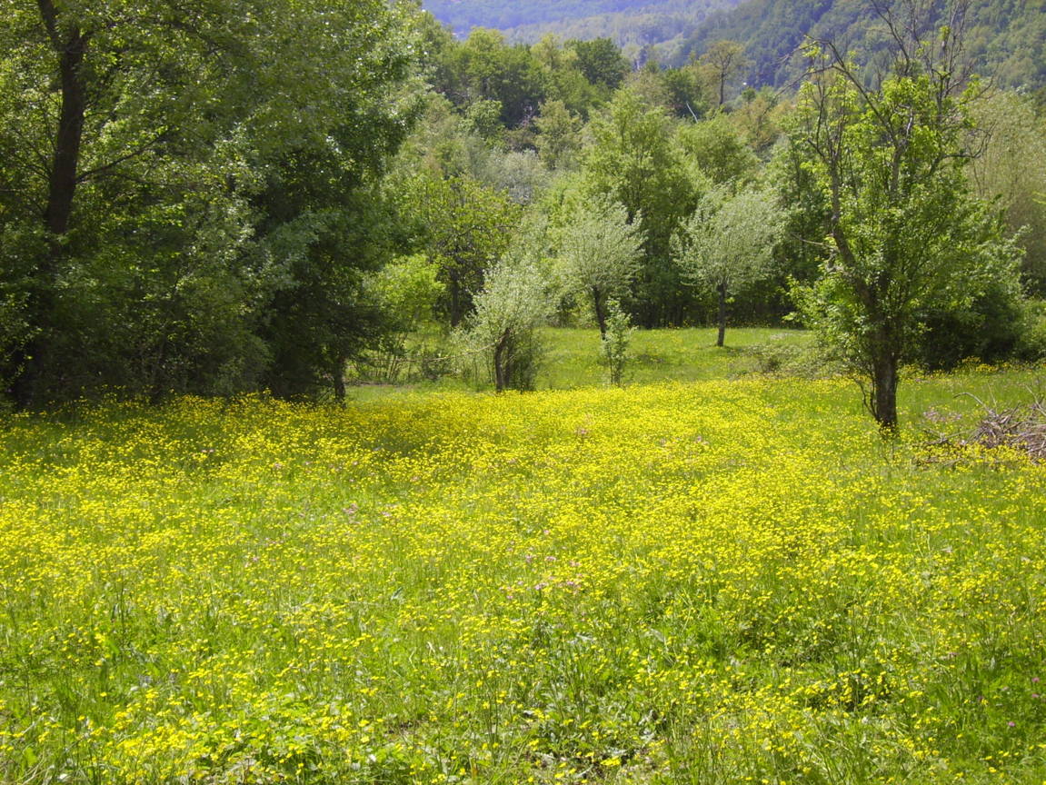 - image: 22