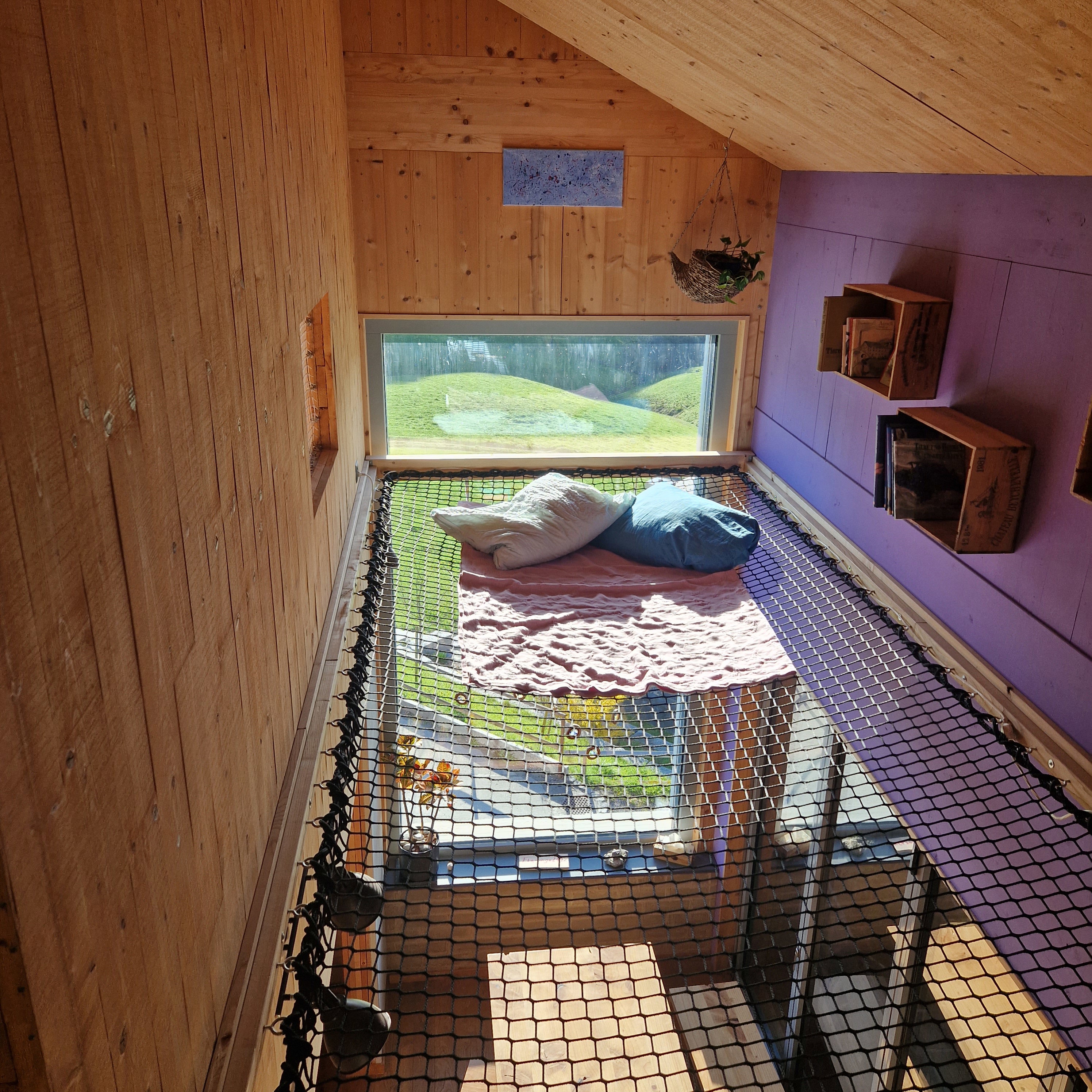 - image: 21