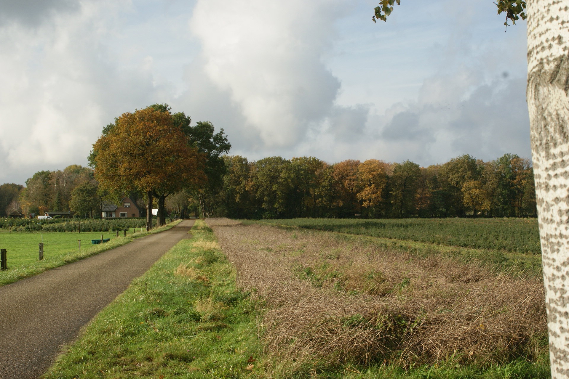 - image: 24