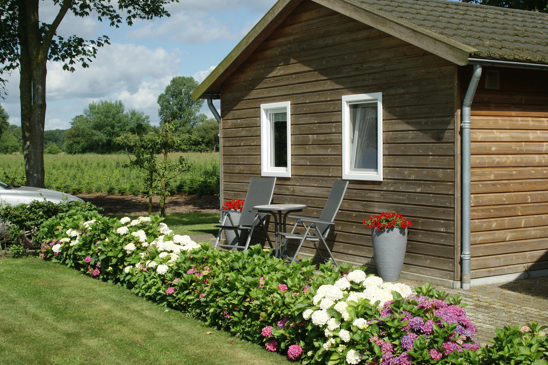 Natuurhuisje in Wiesel / Vaassen /  Veluwe
