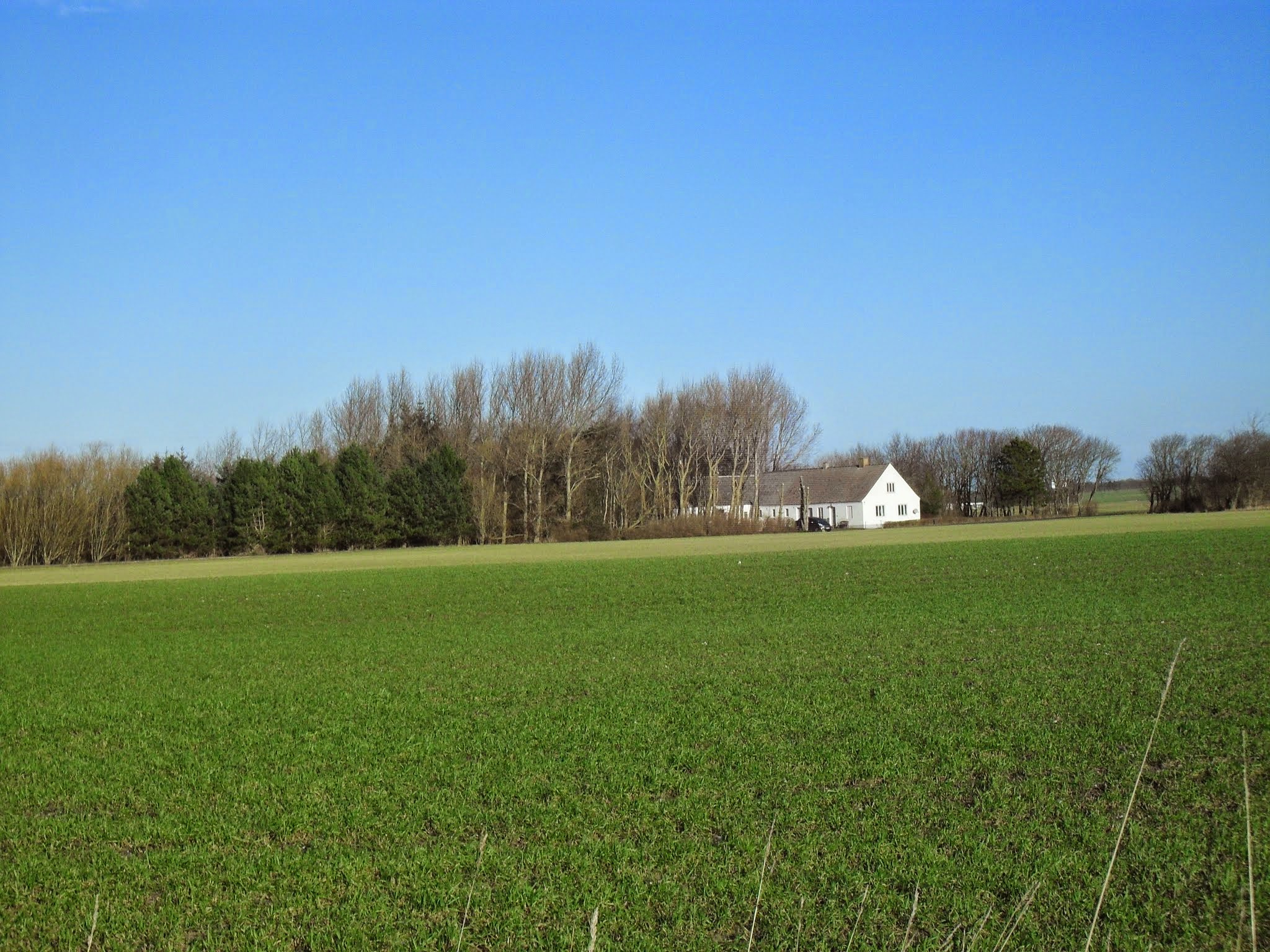 Naturhäuschen in Ranum