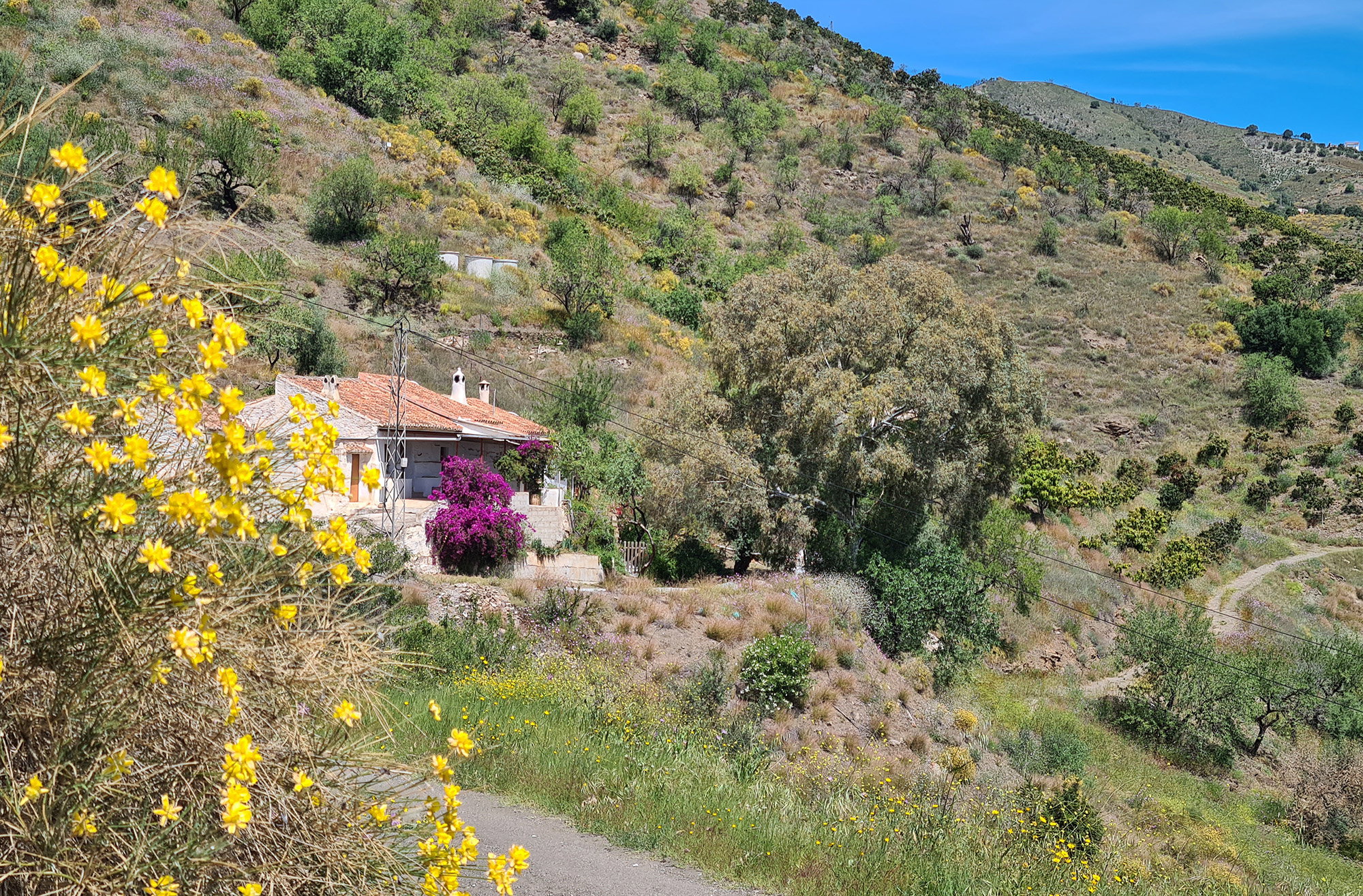 Maison nature à Benamargosa