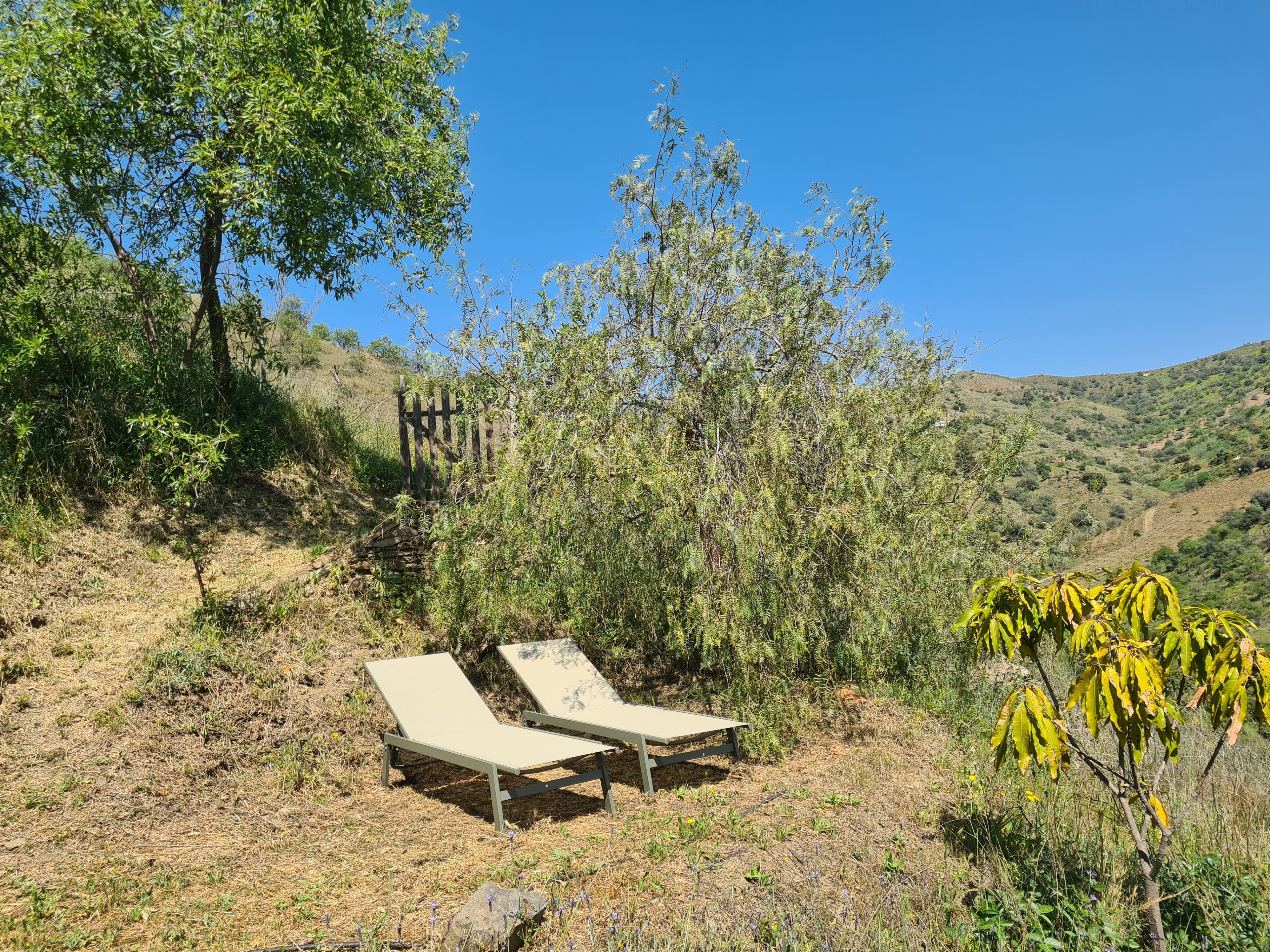 - image: 11