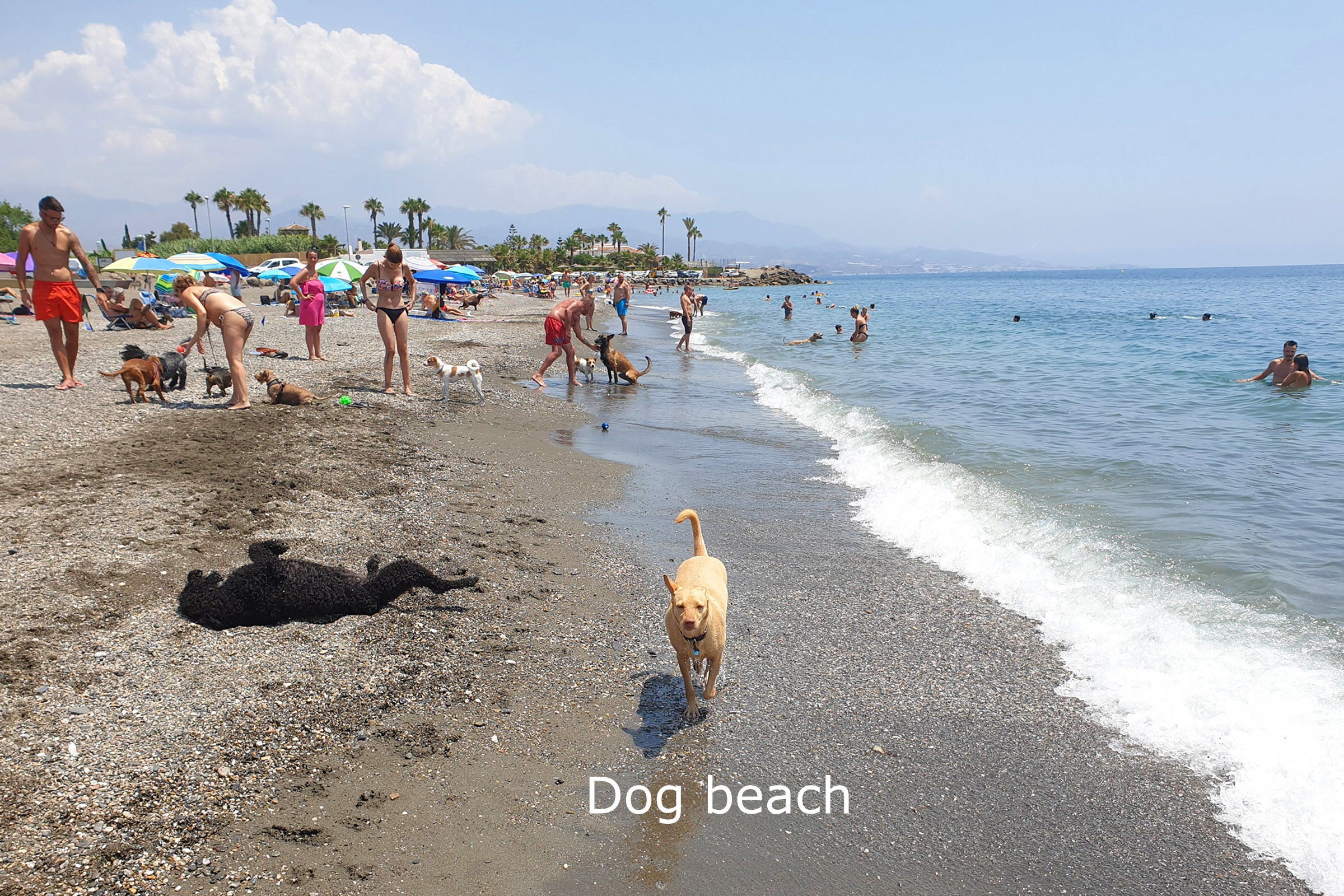 - image: 31