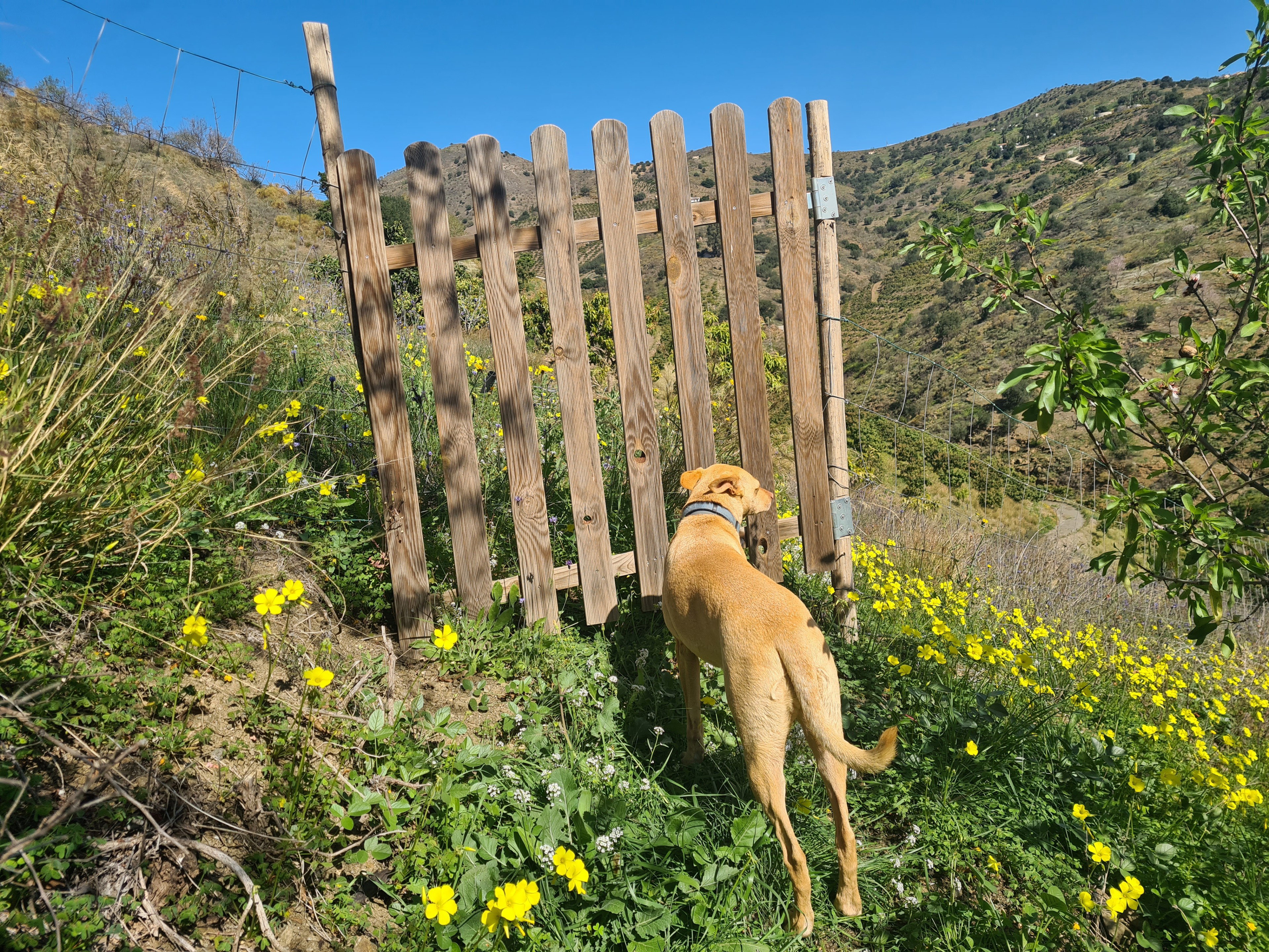 Maison nature à Benamargosa