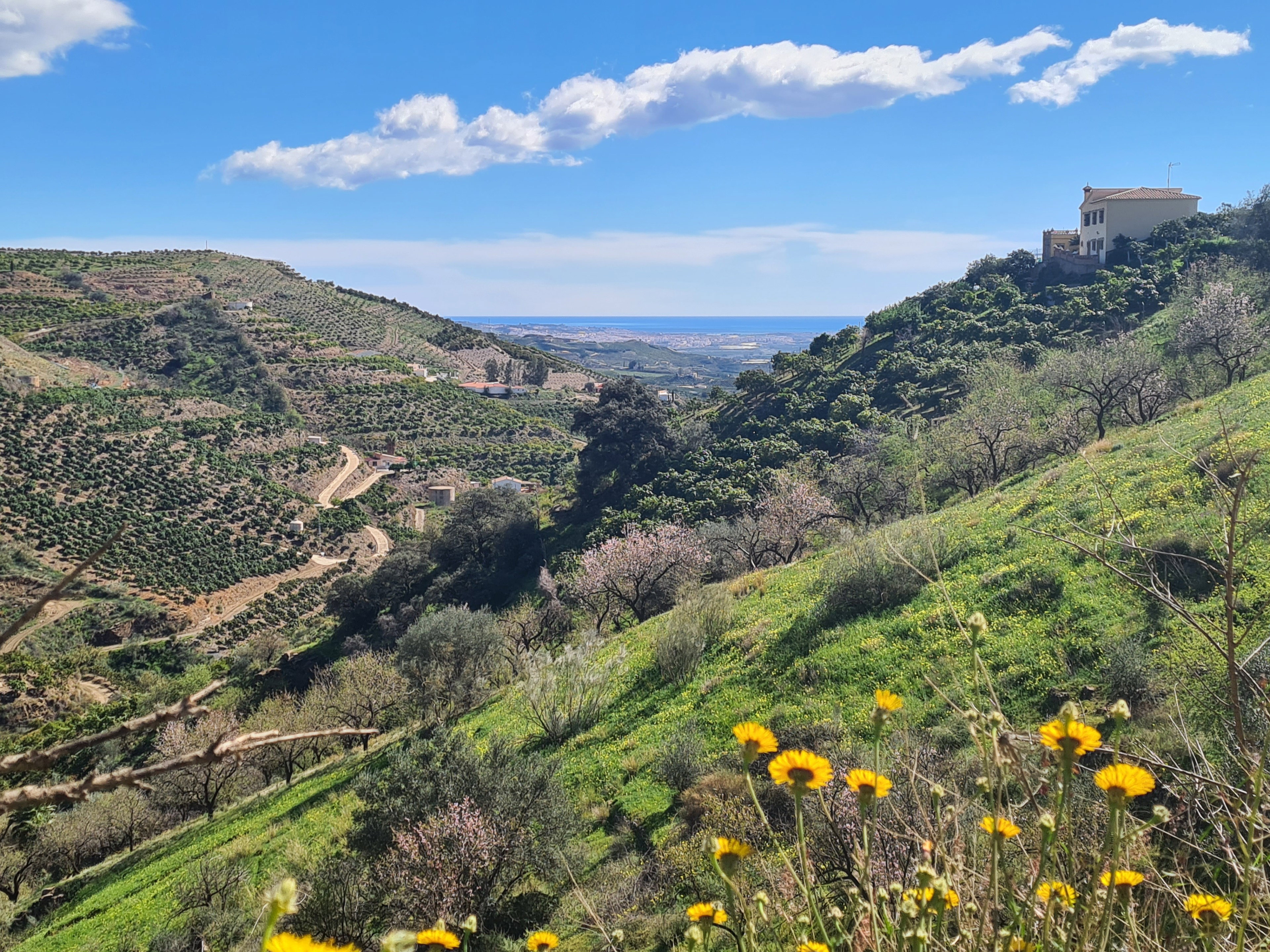Maison nature à Benamargosa