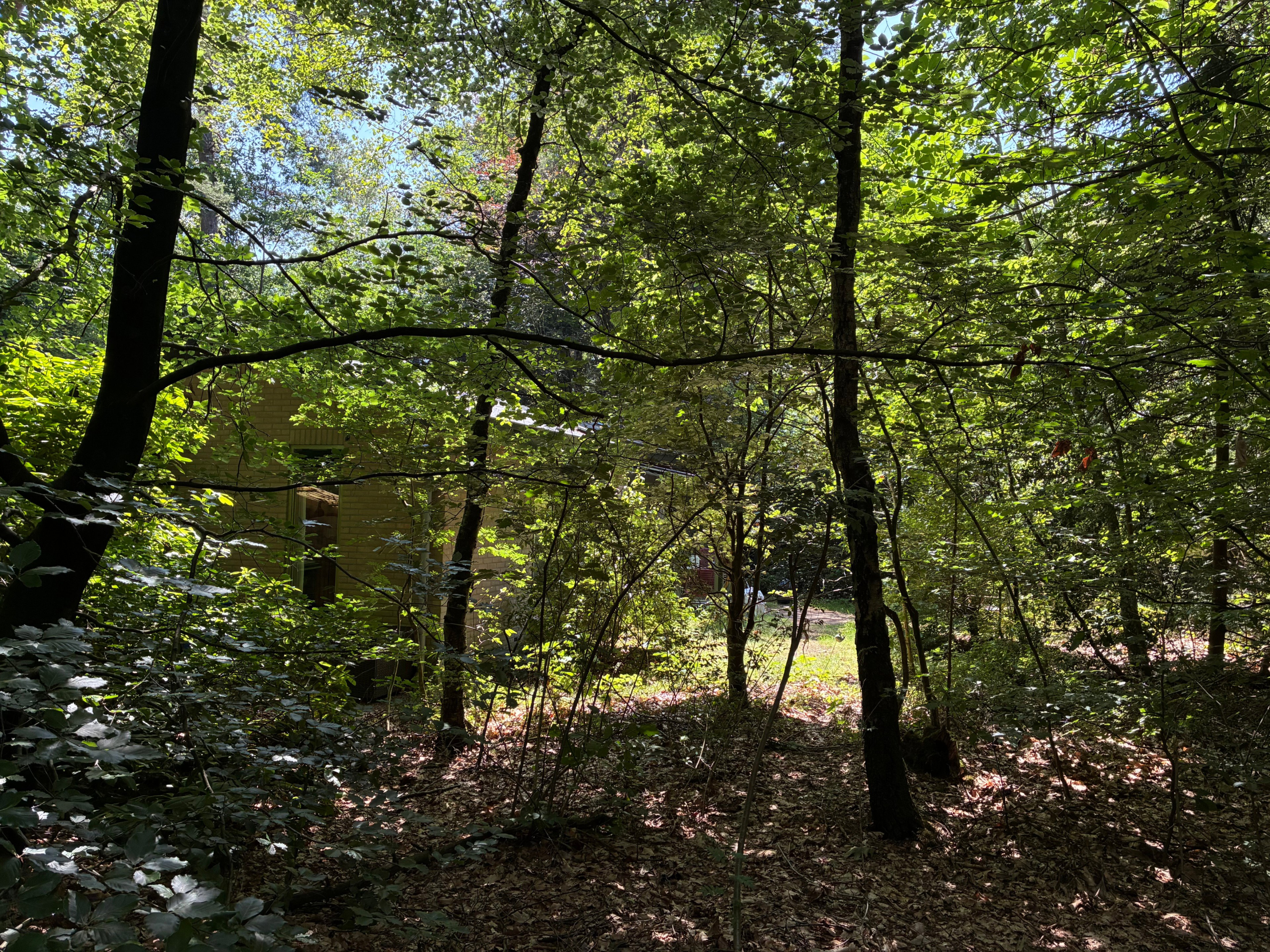 Casa nella natura a Epe