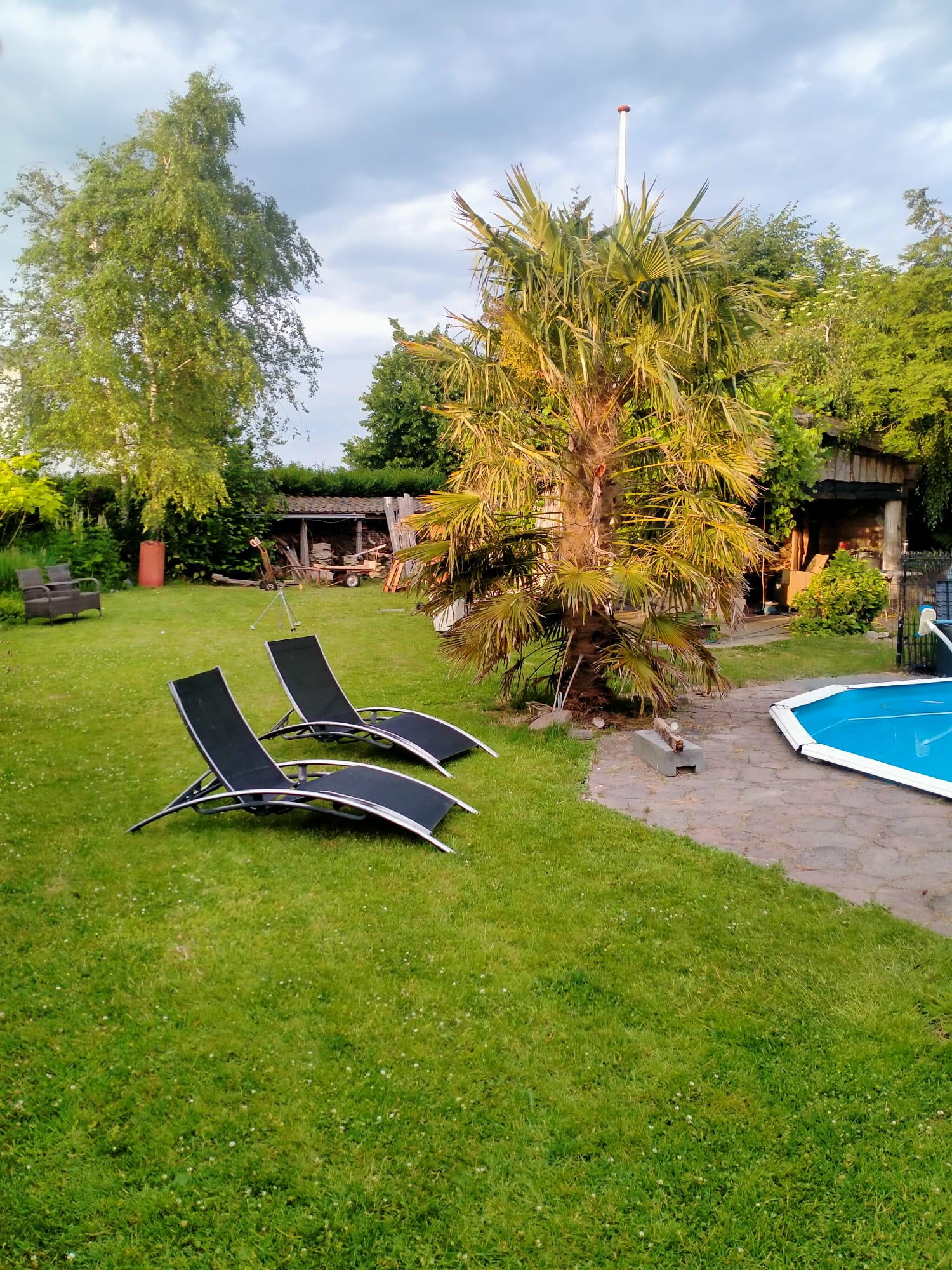 Maison nature à Spanbroek