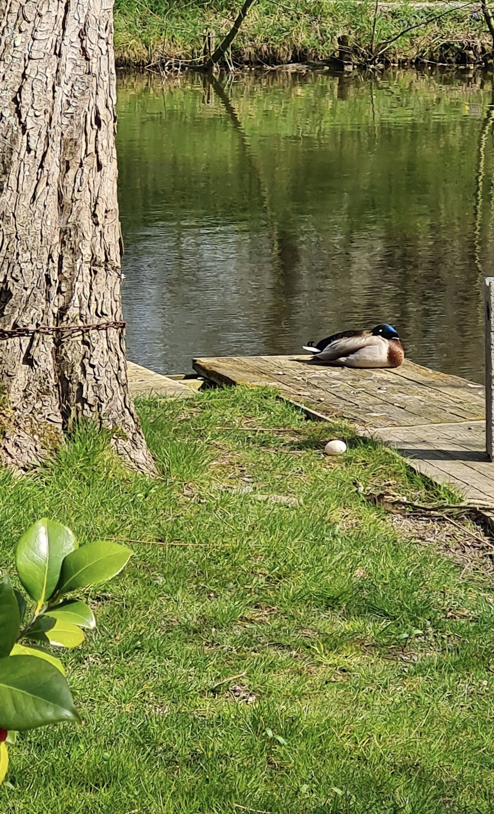 Natuurhuisje in Serques