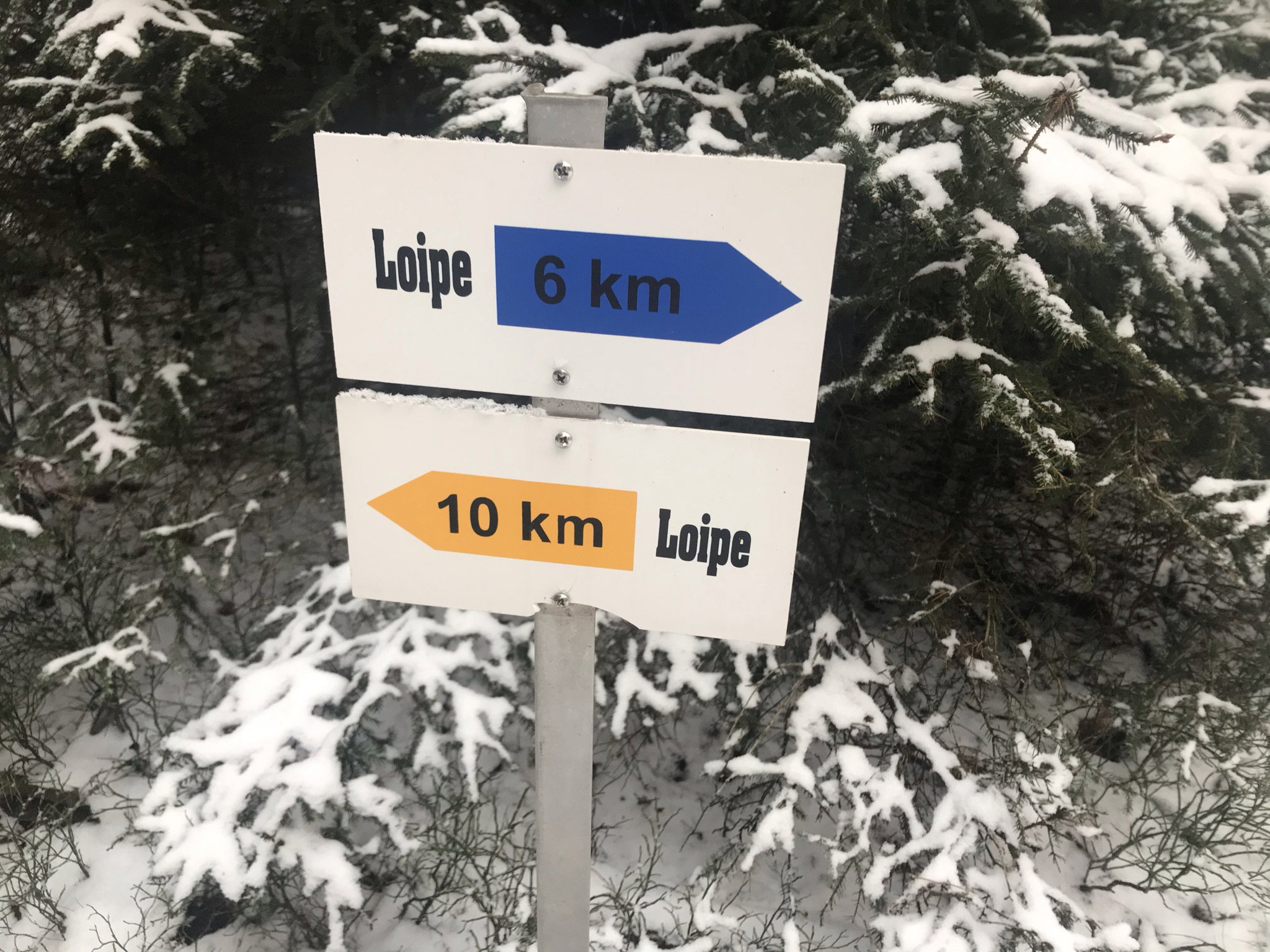 - image: 100