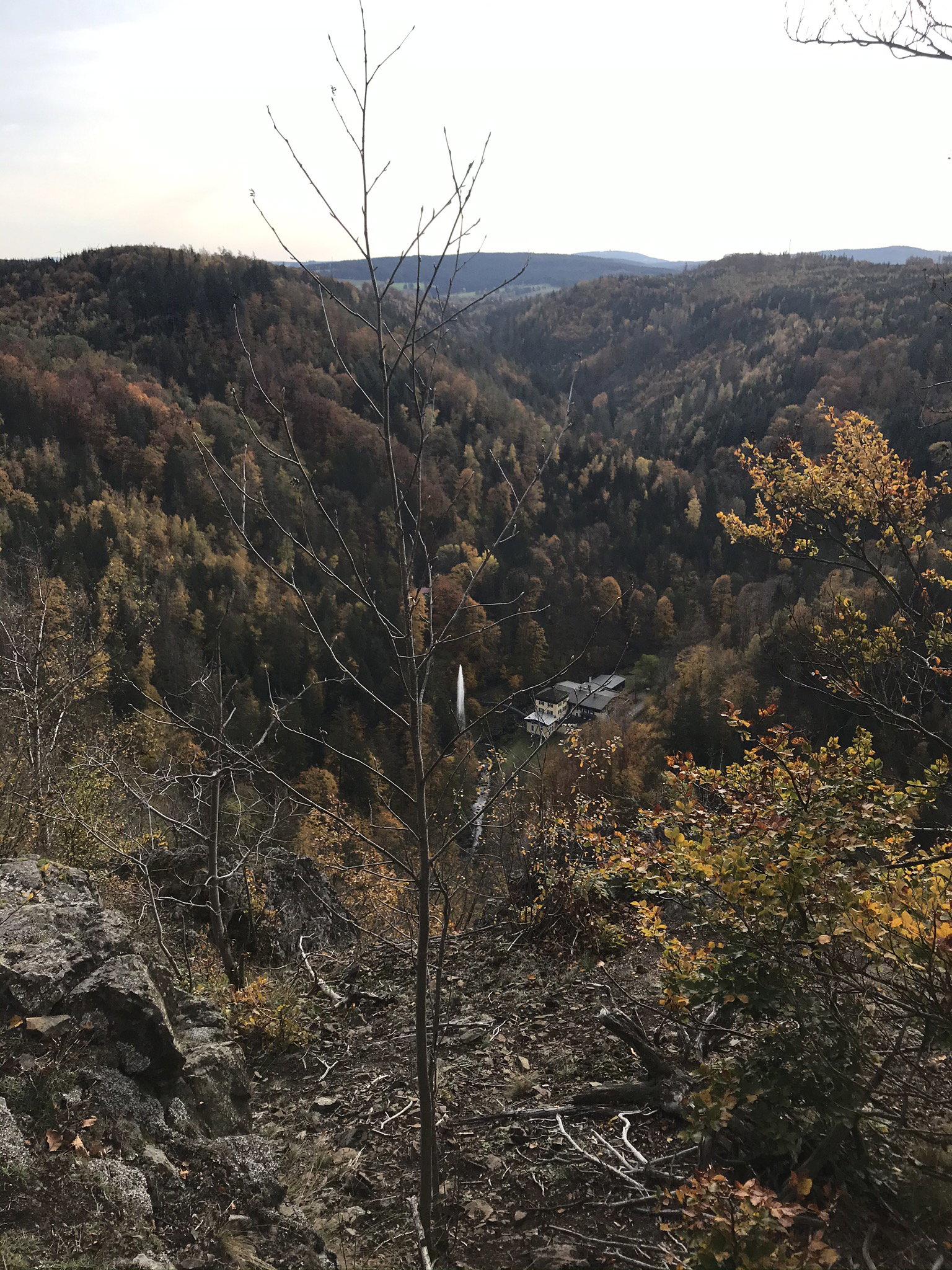 - image: 86