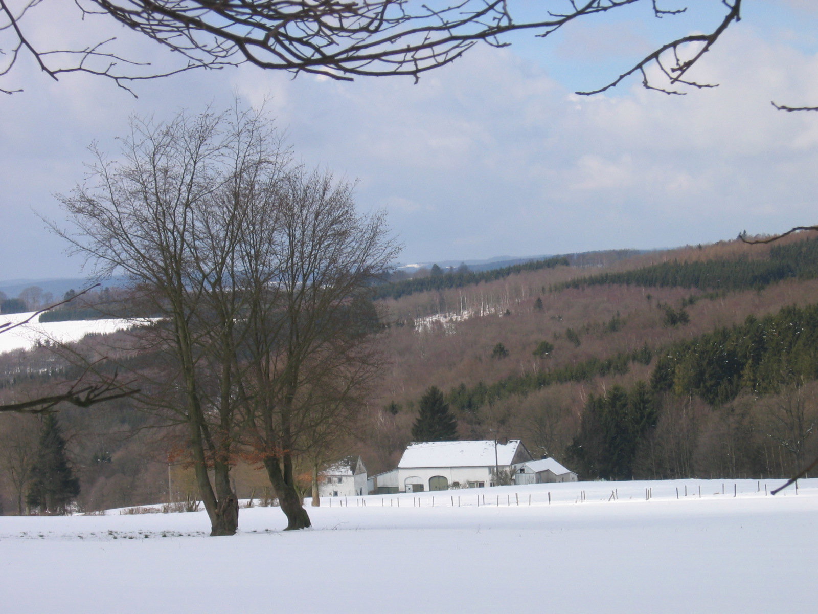 Nature house in Malmedy