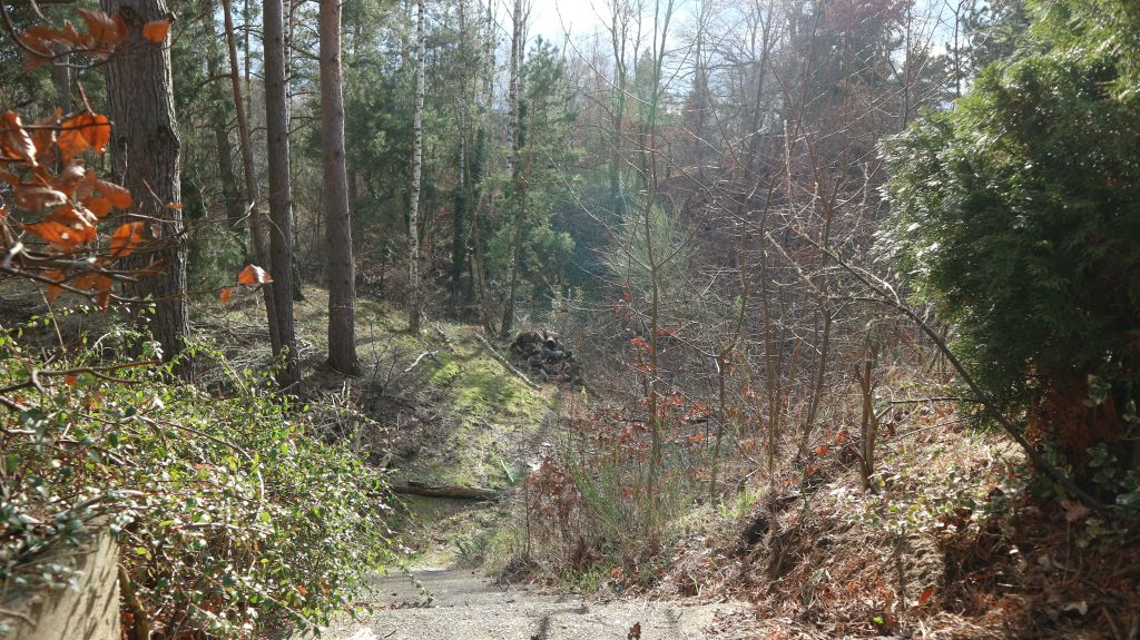 Natuurhuisje in Bad Schmiedeberg