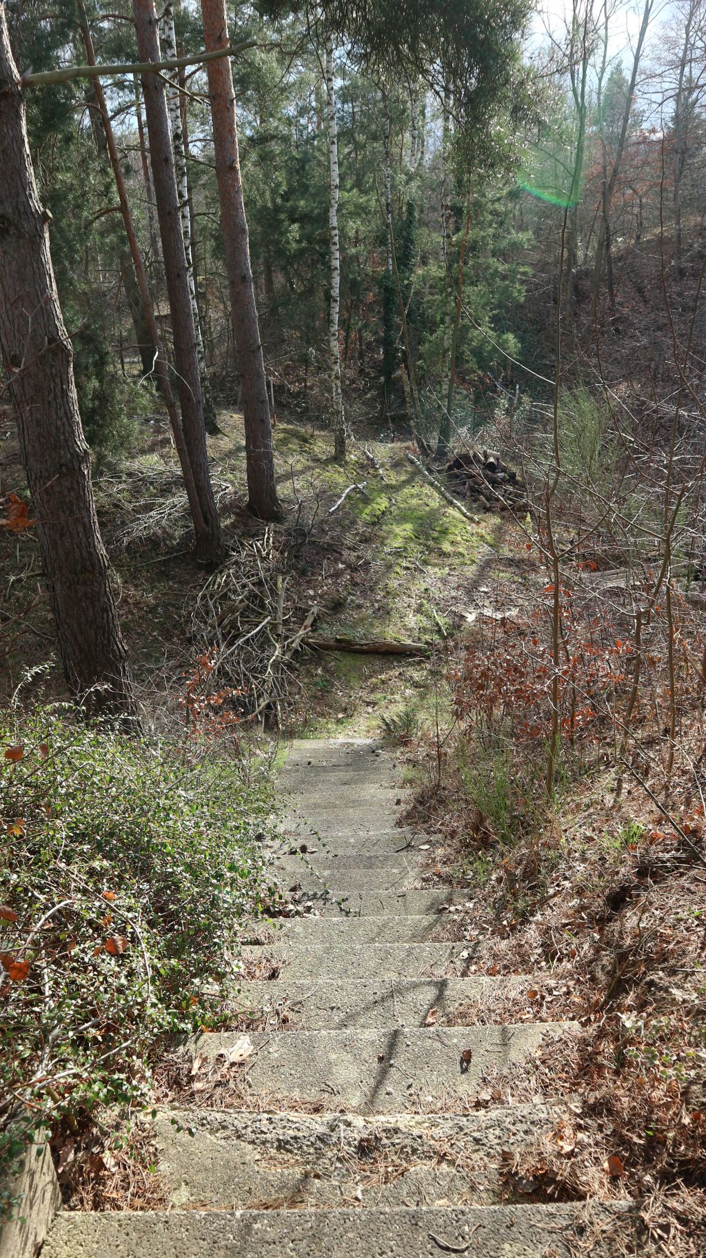 Natuurhuisje in Bad Schmiedeberg
