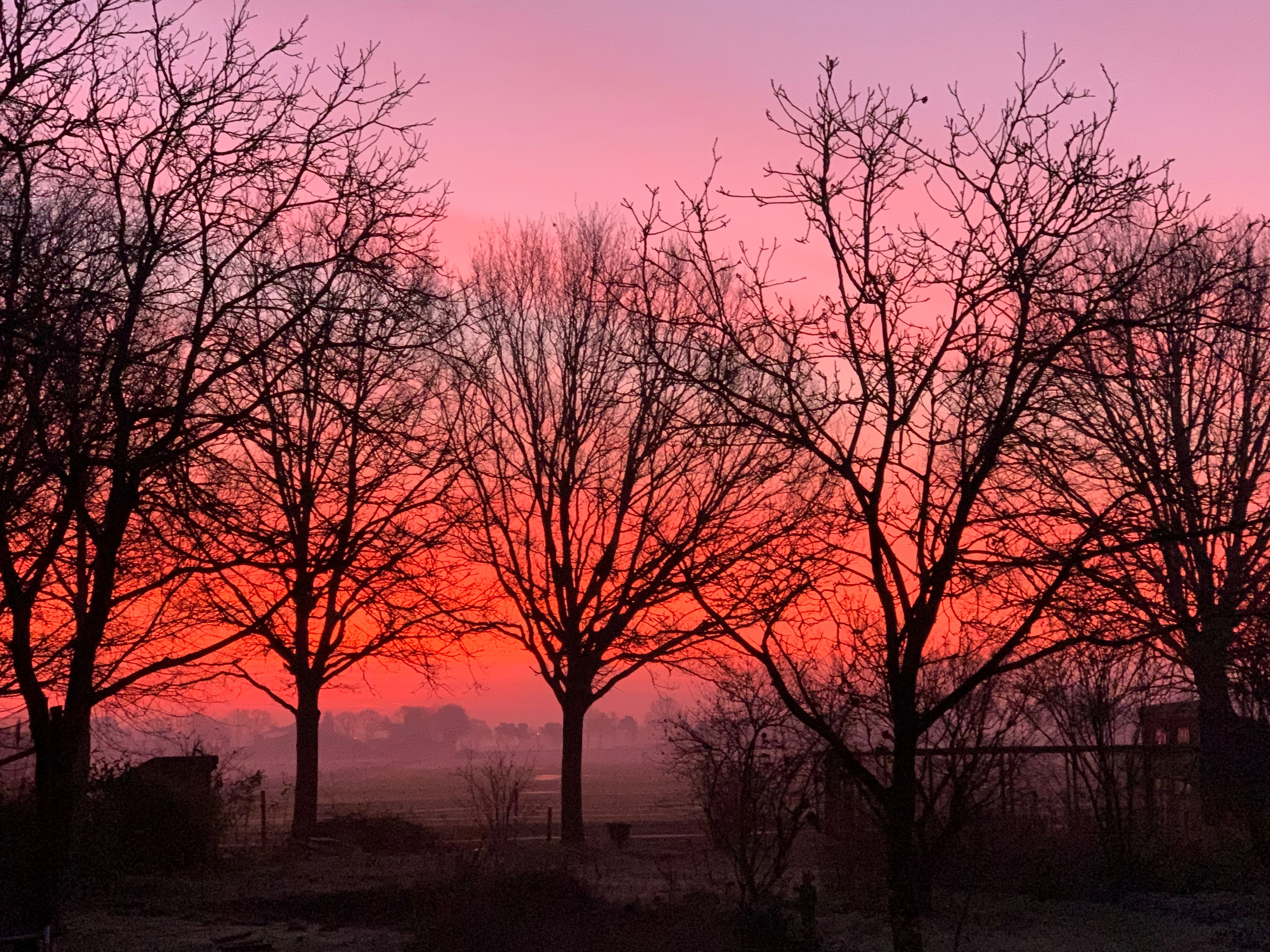 Natuurhuisje in Oostelbeers