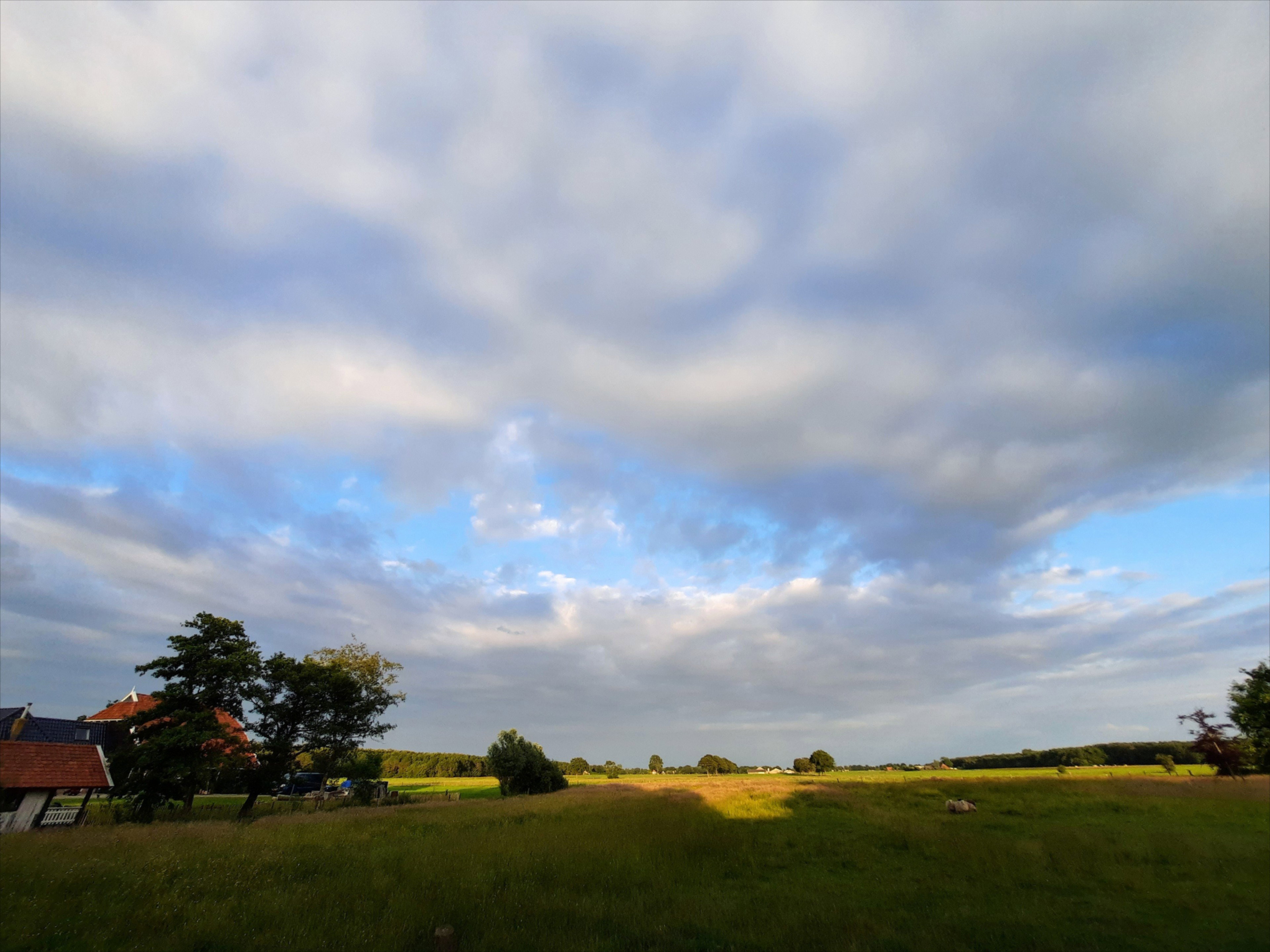 Naturhäuschen in Ruigahuizen