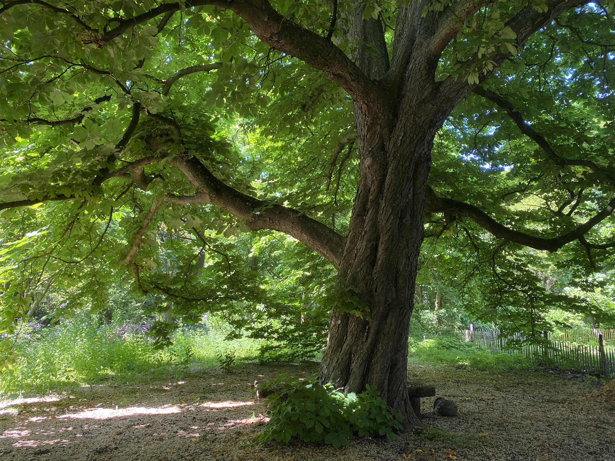 - image: 24