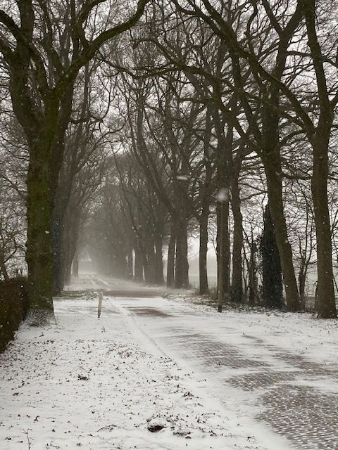 - image: 14
