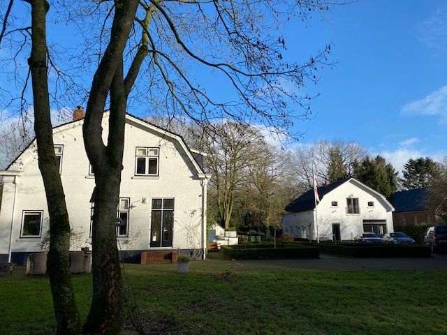 - image: 11