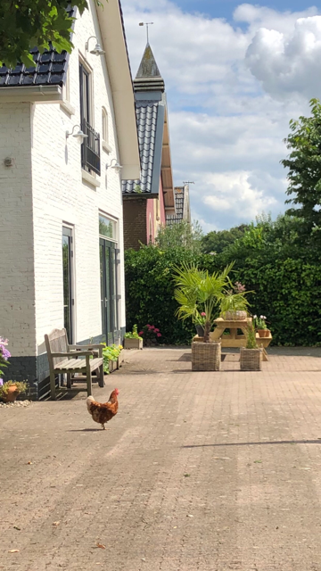 Natuurhuisje in Tynaarlo