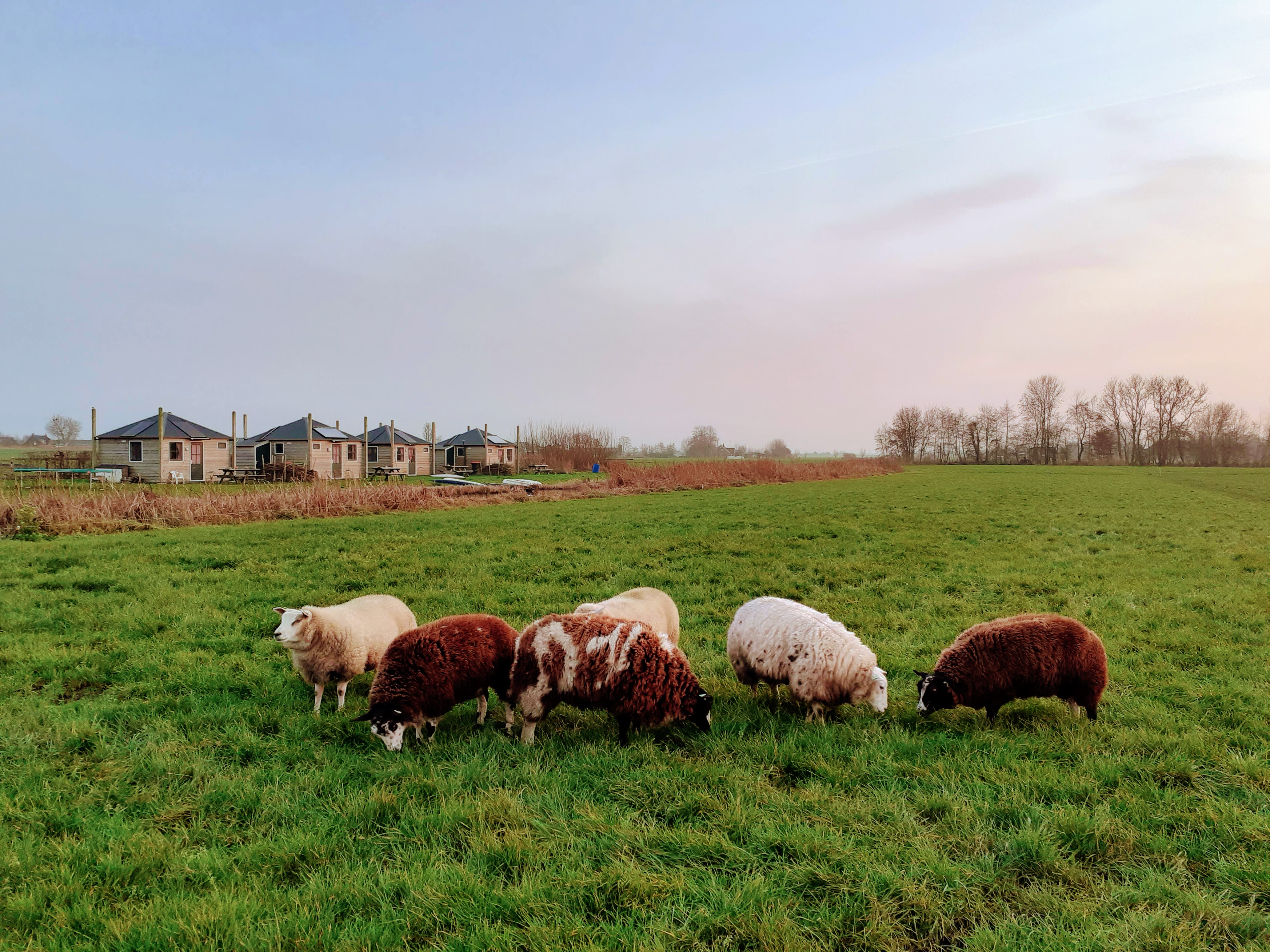 Natuurhuisje in Woerdense Verlaat
