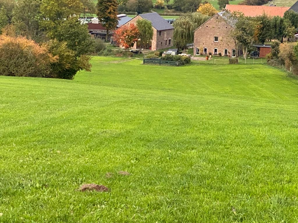 Nature house in Hombourg - Plombières