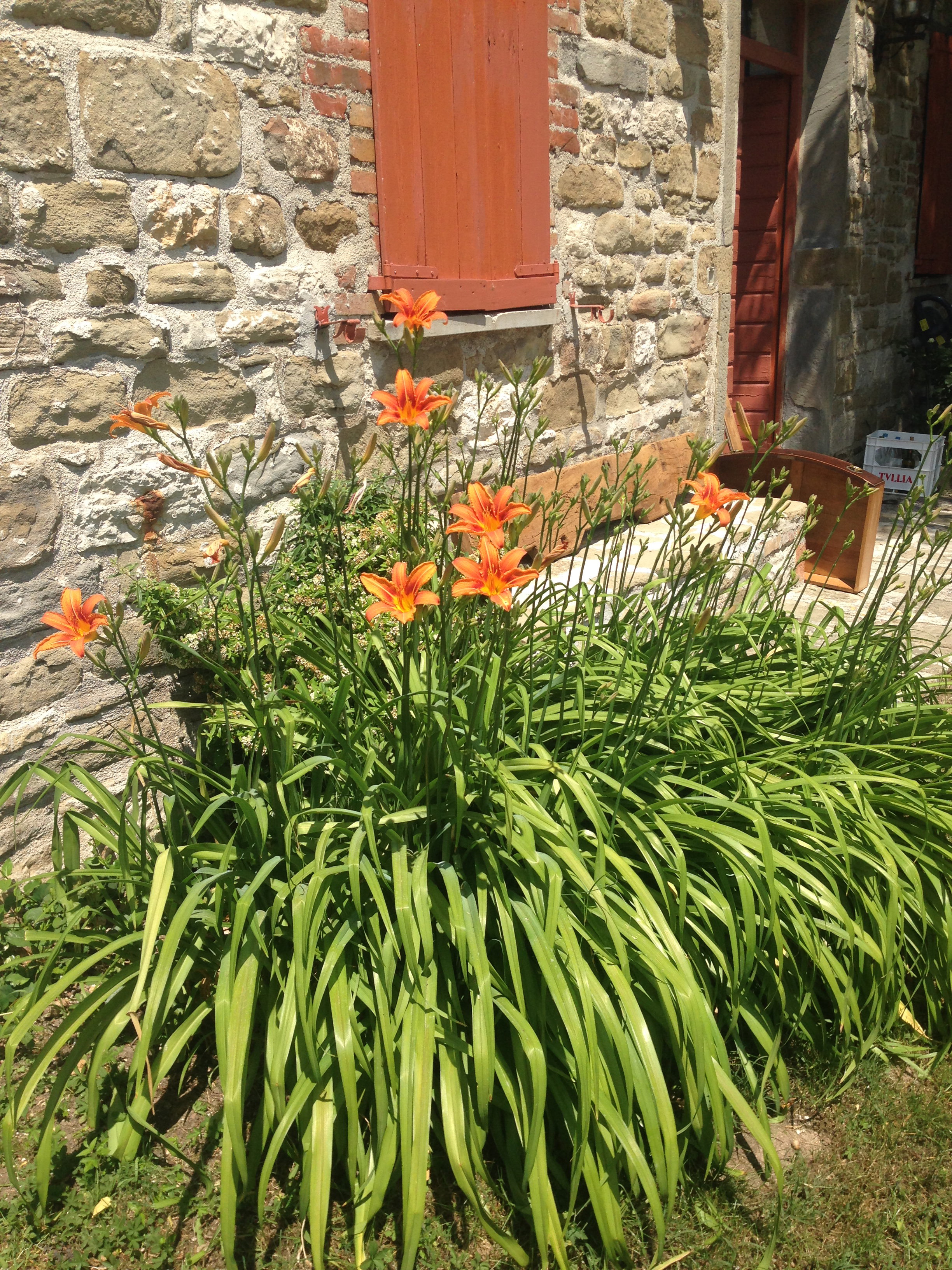 Nature house in Gubbio