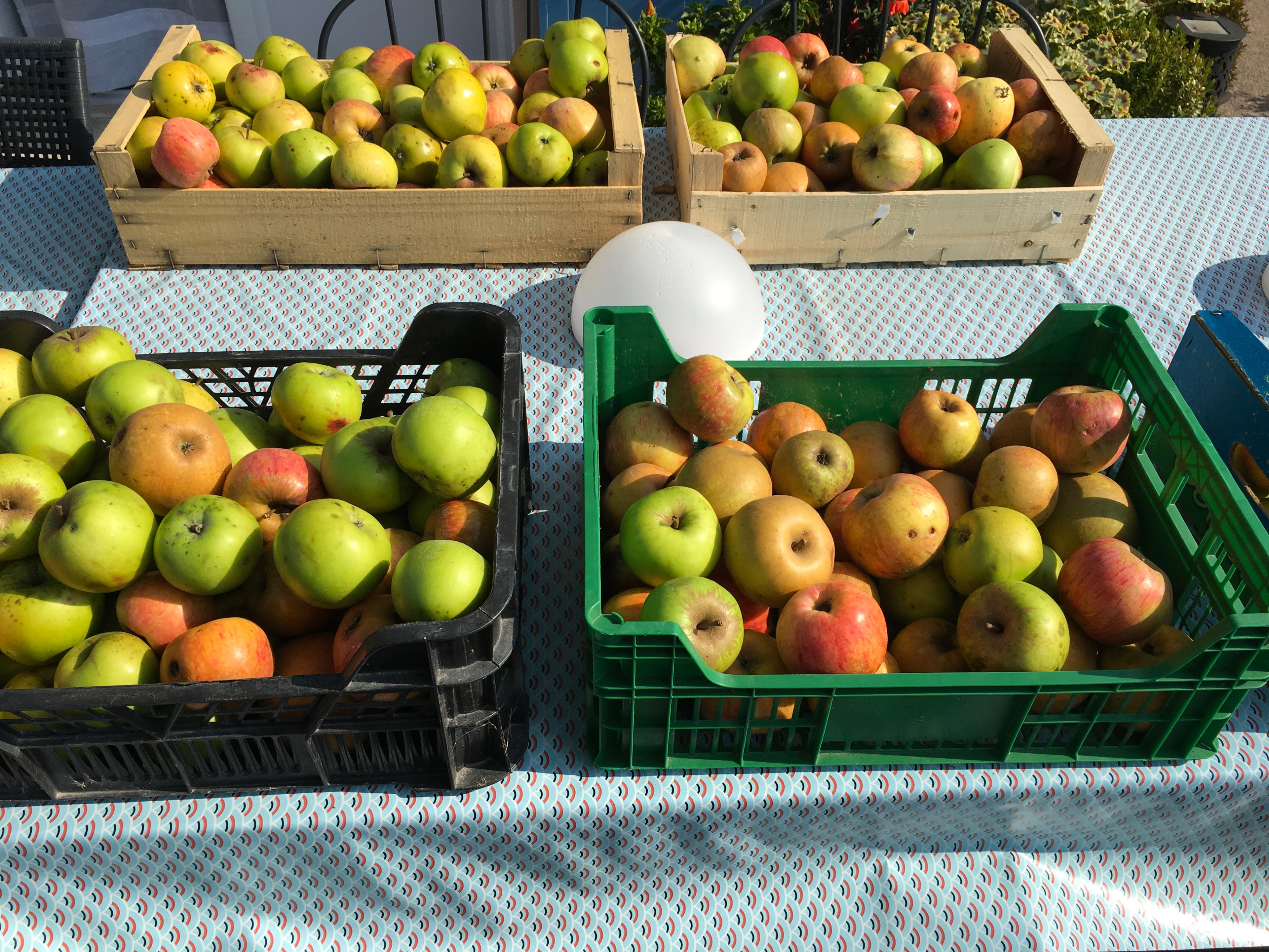 - image: 18