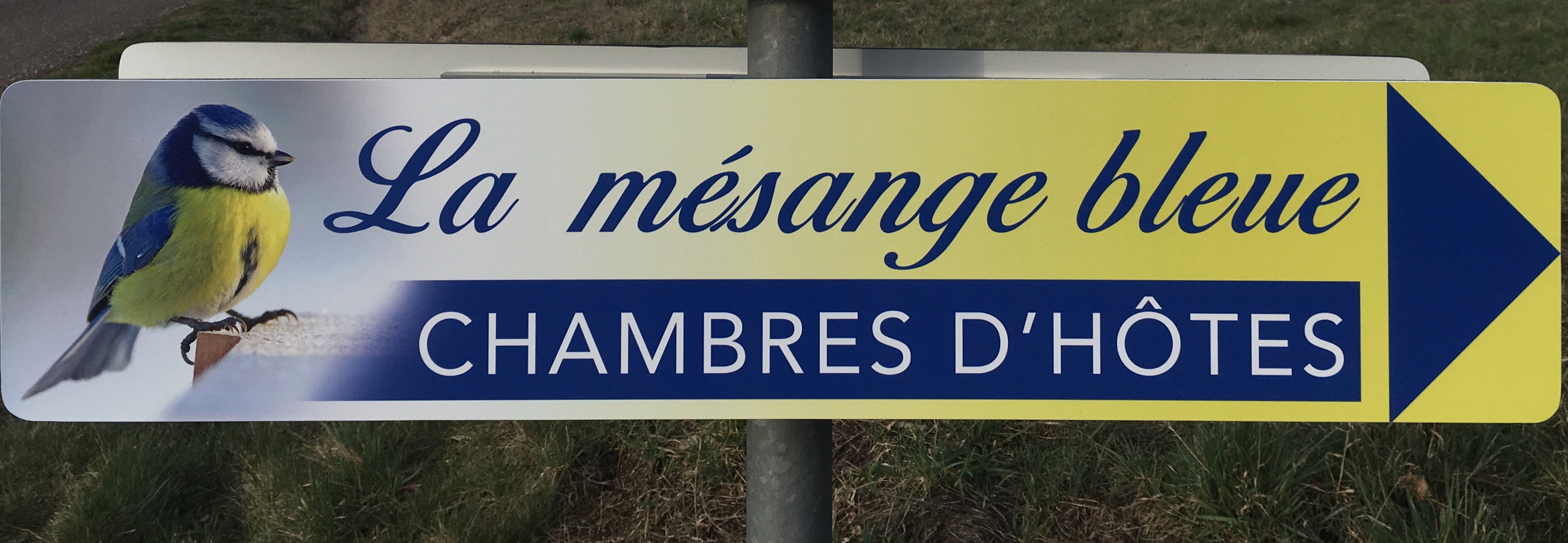 - image: 20