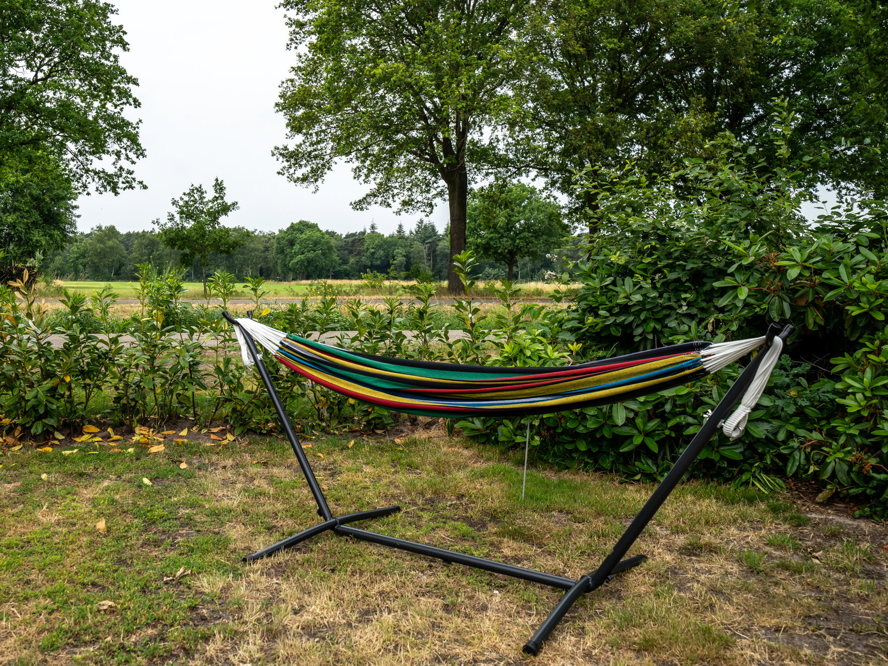 Casa nella natura a Ommen