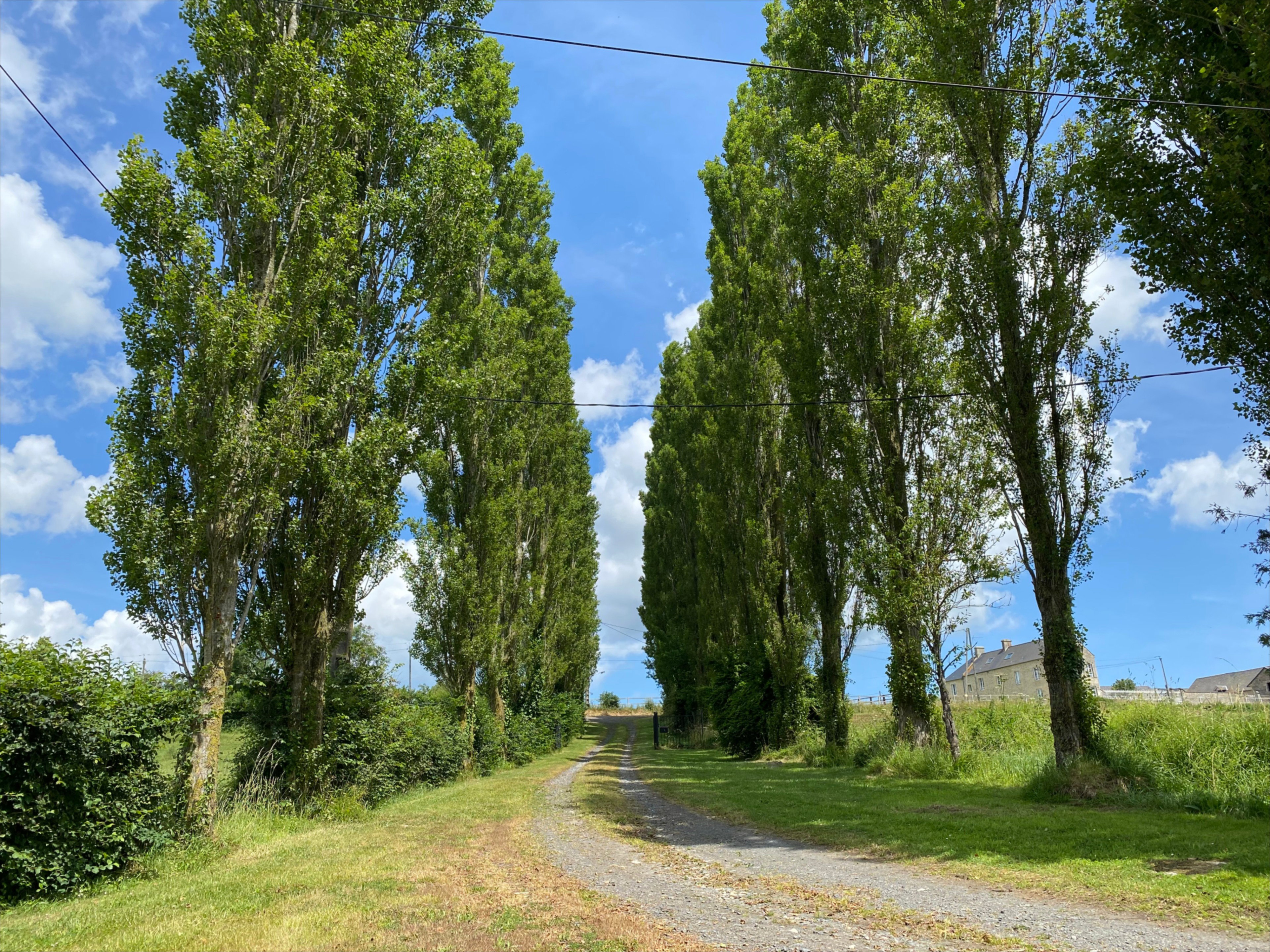 Maison nature à Saon